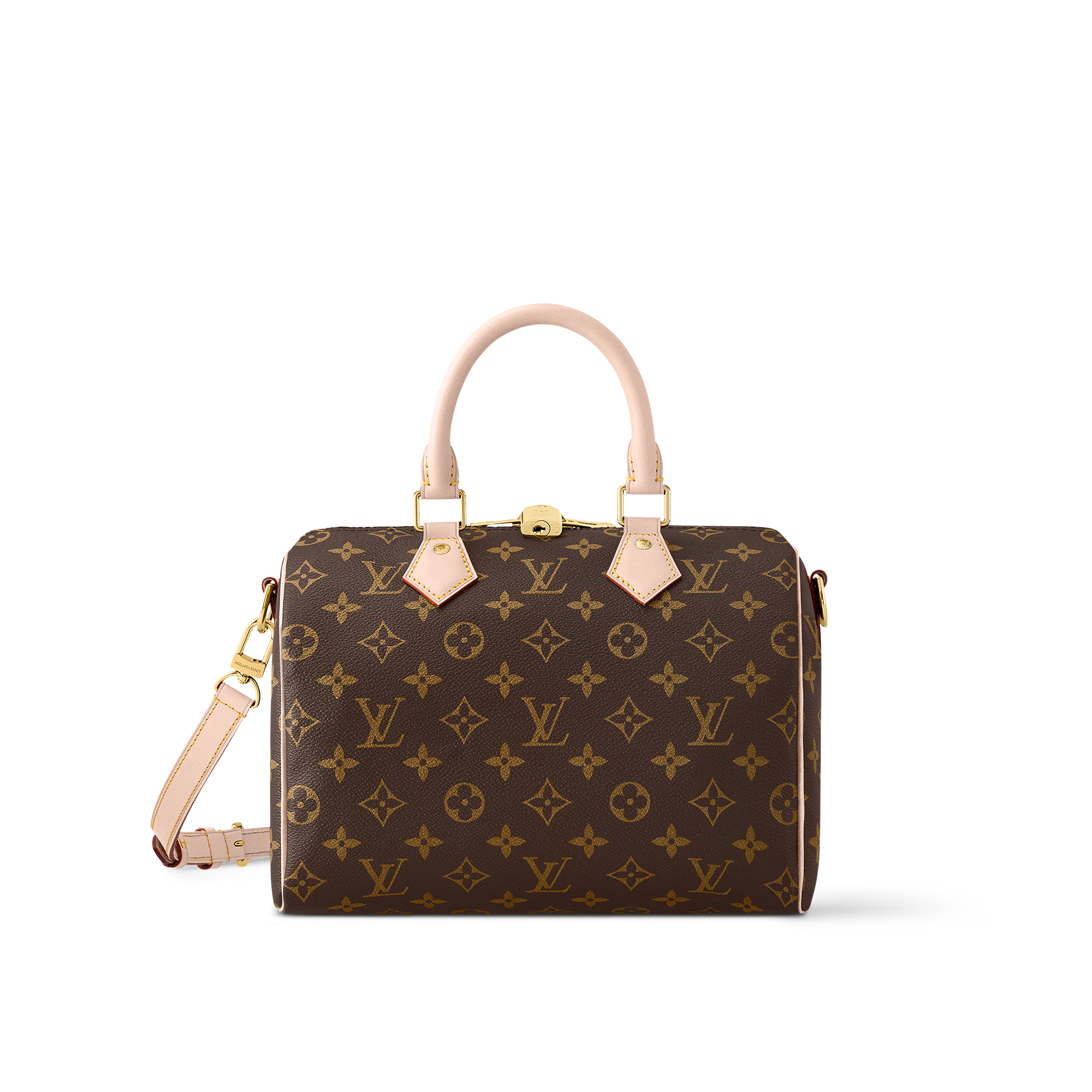 show me a louis vuitton purse