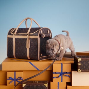 Gifts for Pets | LOUIS VUITTON
