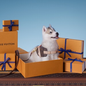 Gifts for Pets | LOUIS VUITTON