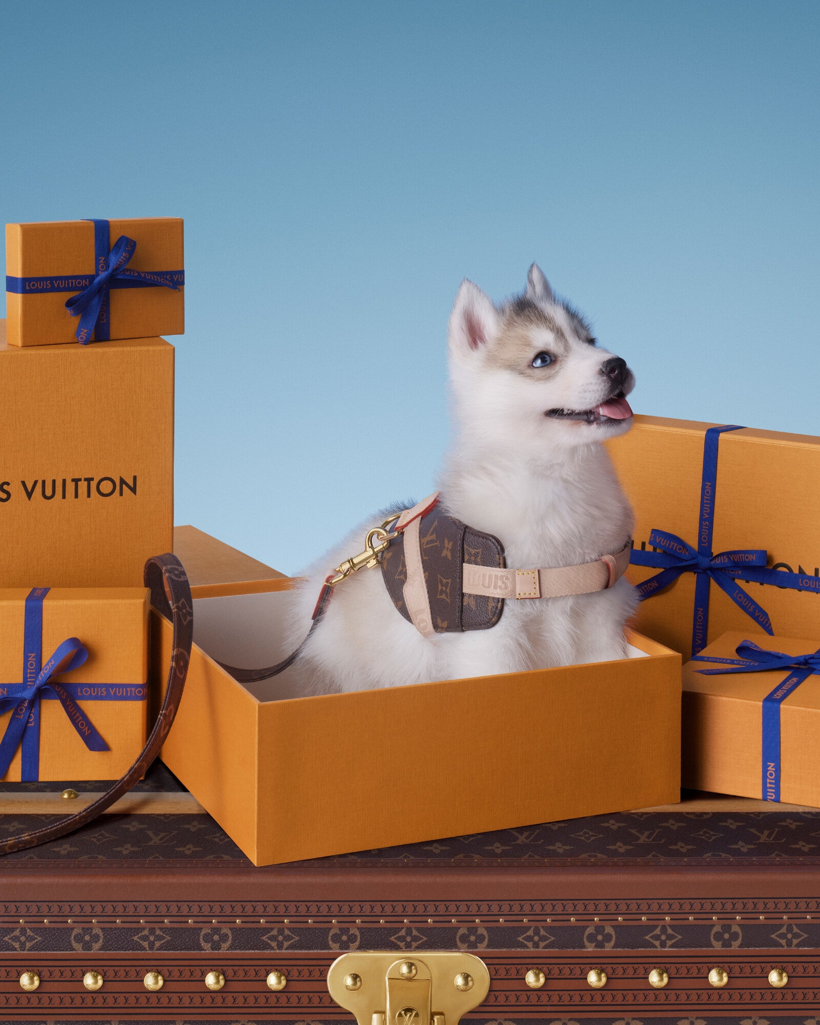 Gifts for Pets | LOUIS VUITTON