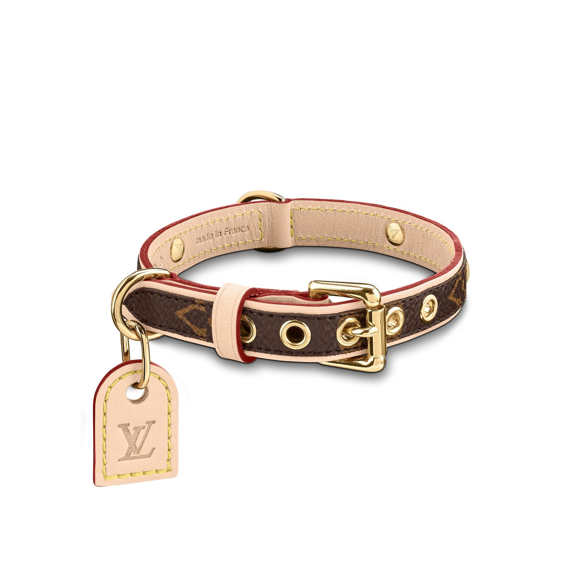 great dog collars