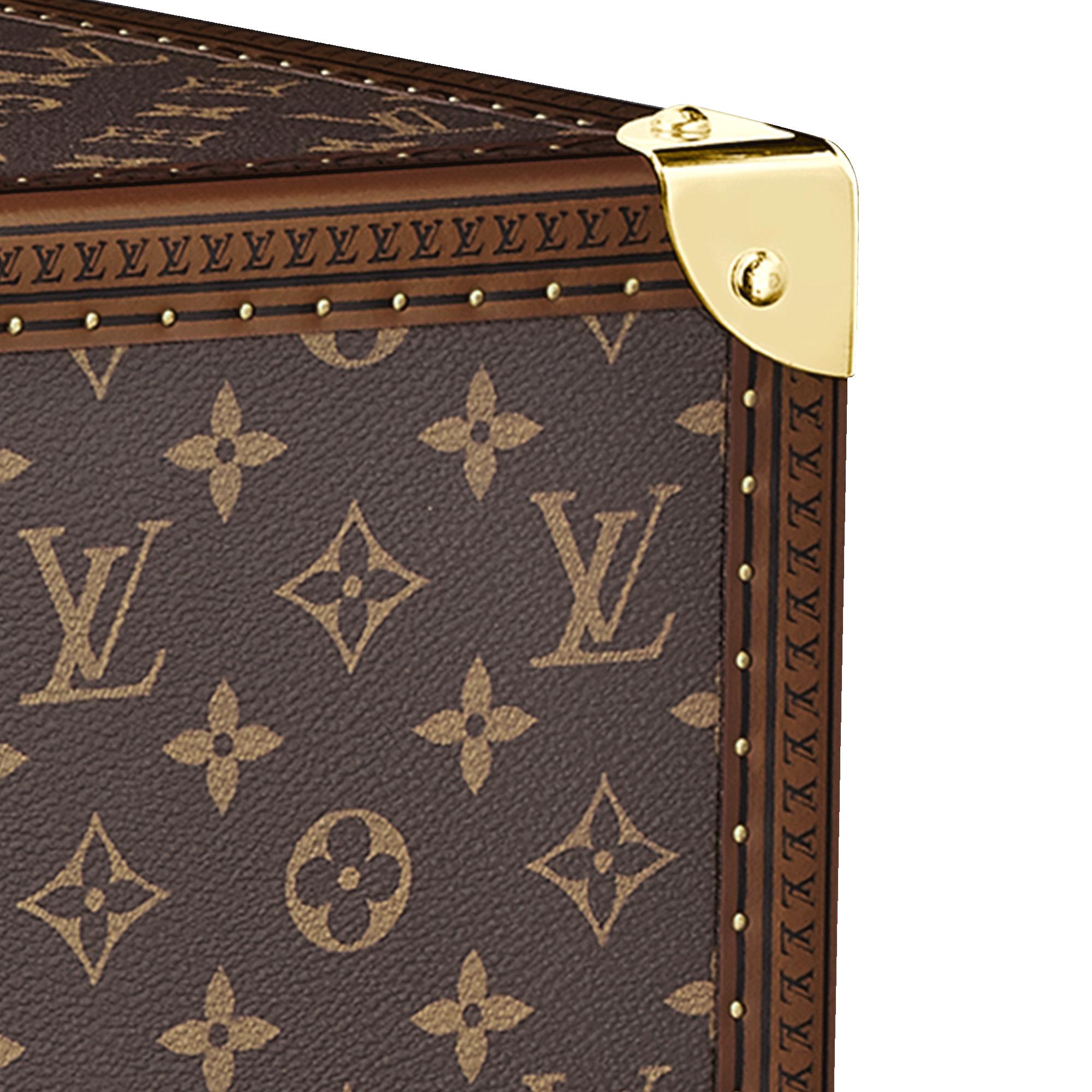 Alzer Suitcase Monogram Canvas in Les Extraordinaires