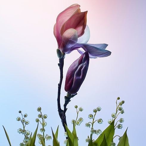 Apogée in Perfumes and Beauty 's Collections Women’s Perfumes collections by Louis Vuitton (Product zoom)