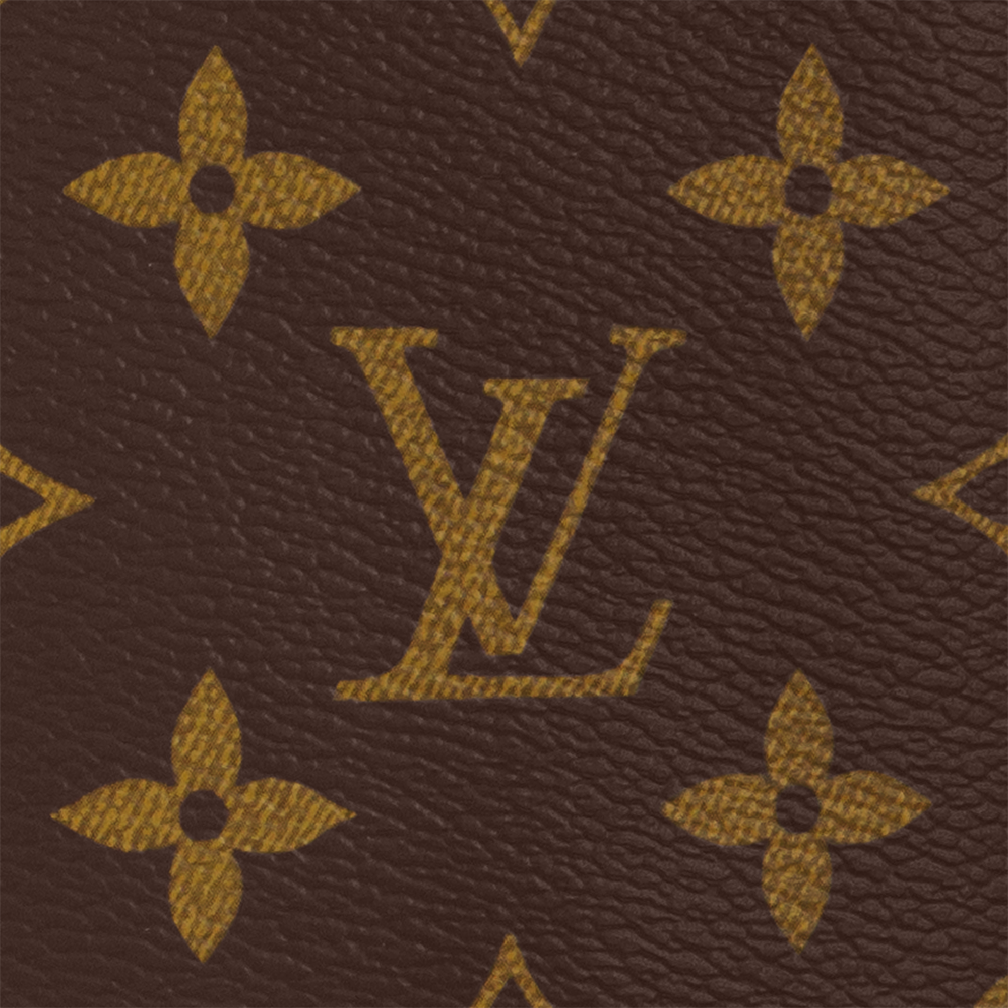 Avenue Slingbag Monogram Macassar Canvas in Men