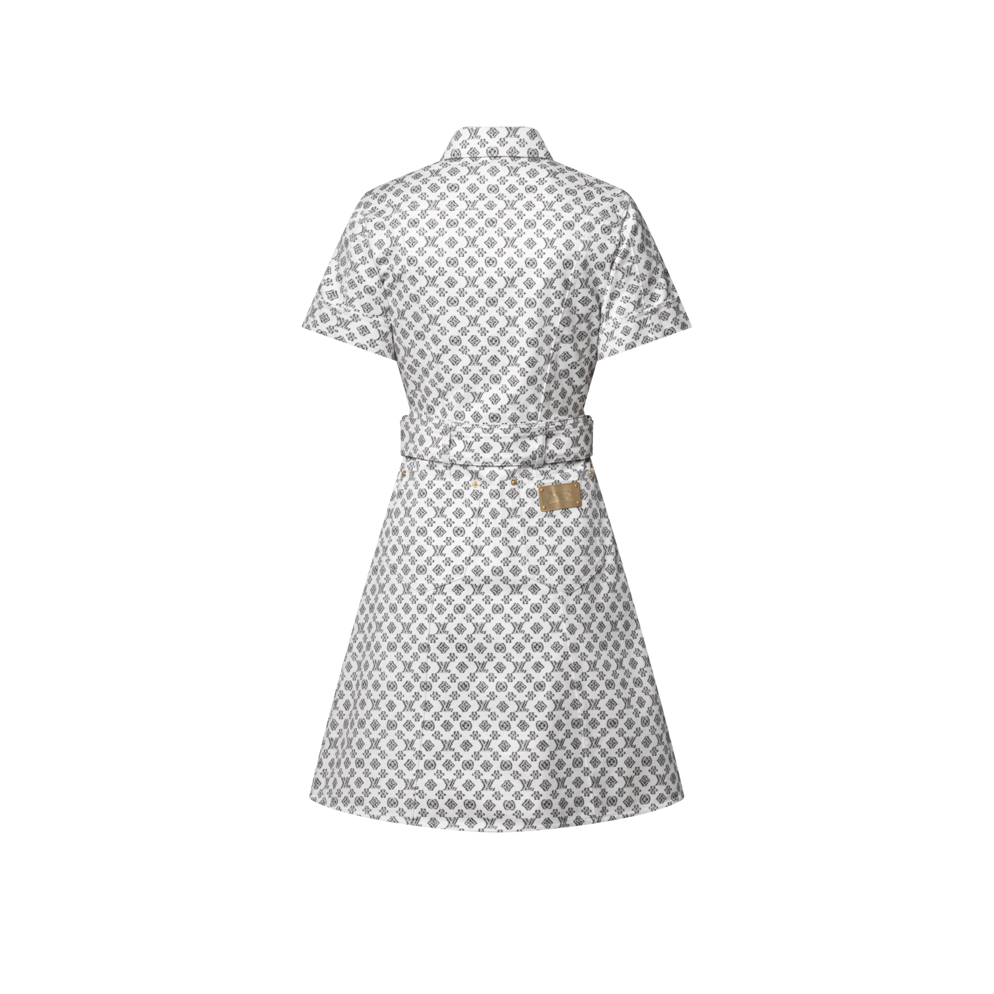 Blurry Monogram Shirt Dress  in Women