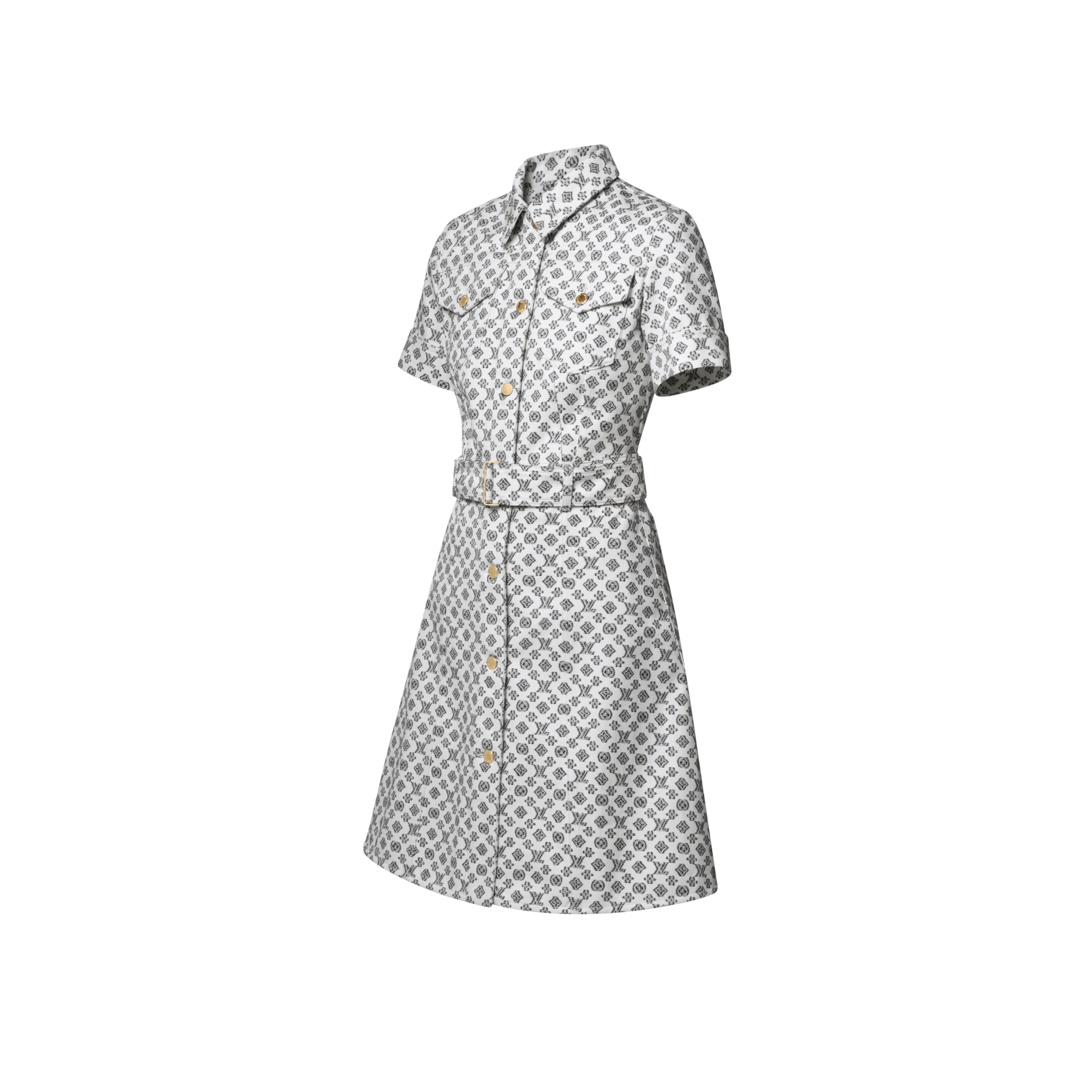 Blurry Monogram Shirt Dress  in Women
