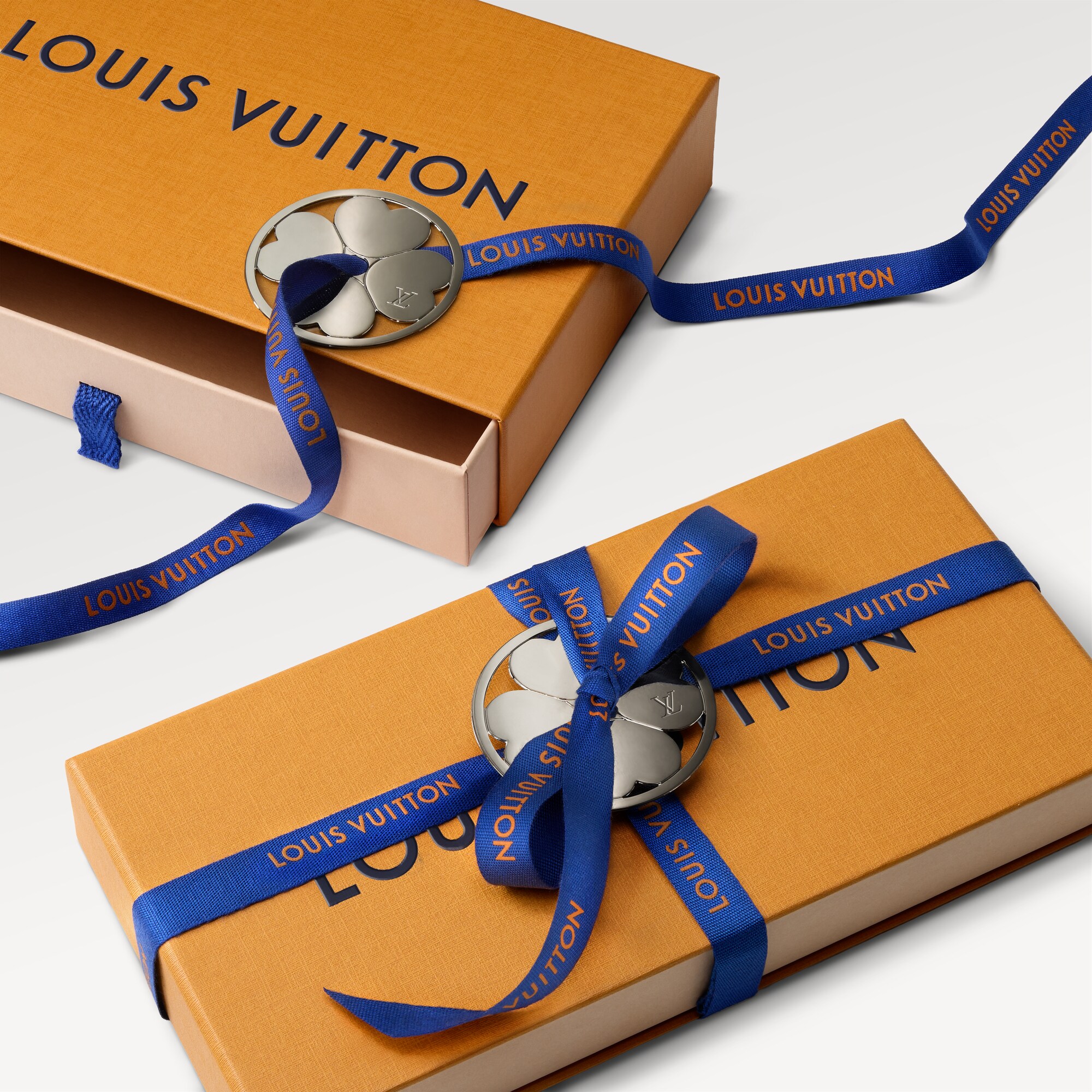 Brazza Wallet Taiga Leather - For Him | LOUIS VUITTON