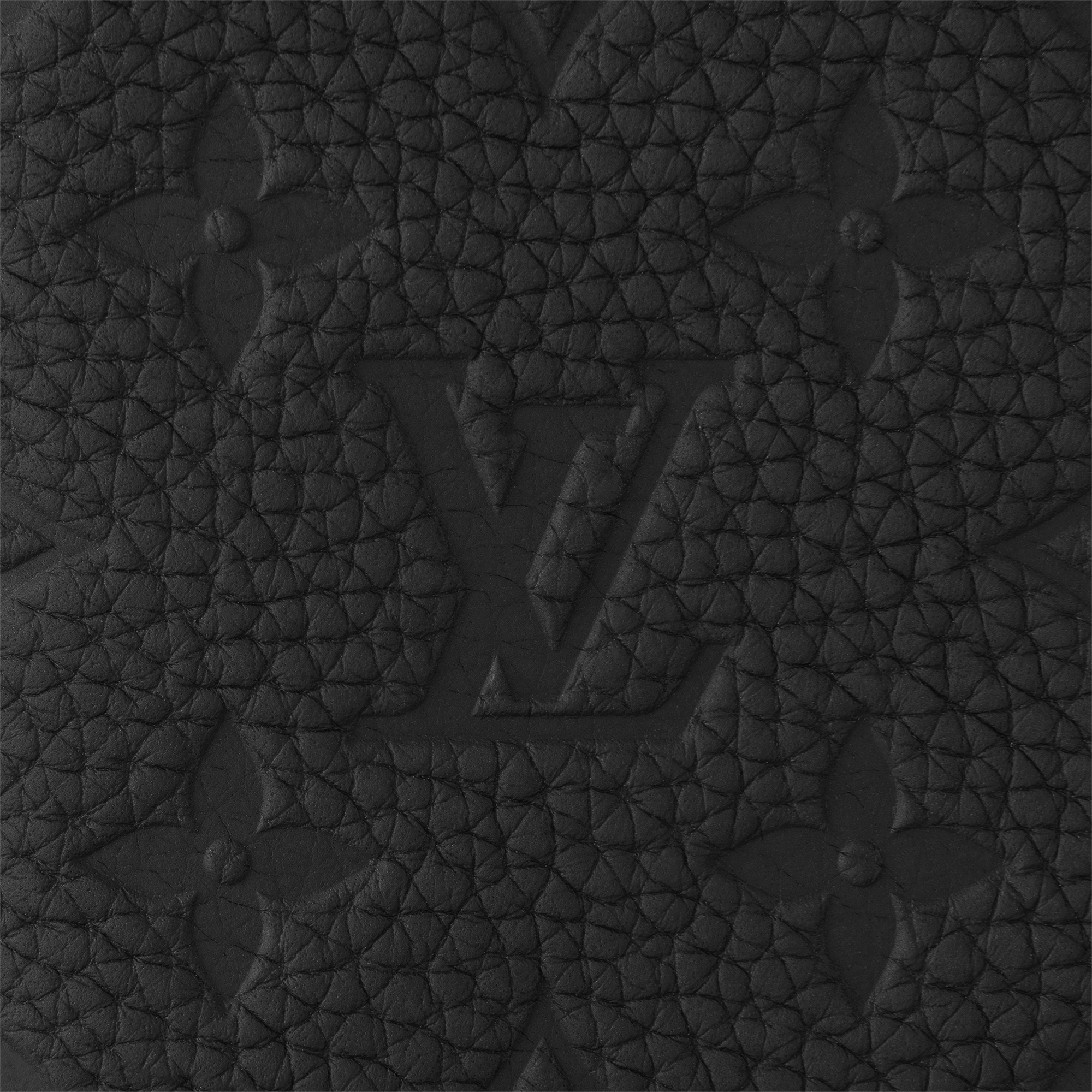 Brazza Wallet Monogram Taurillon Leather in Super Lucky Day