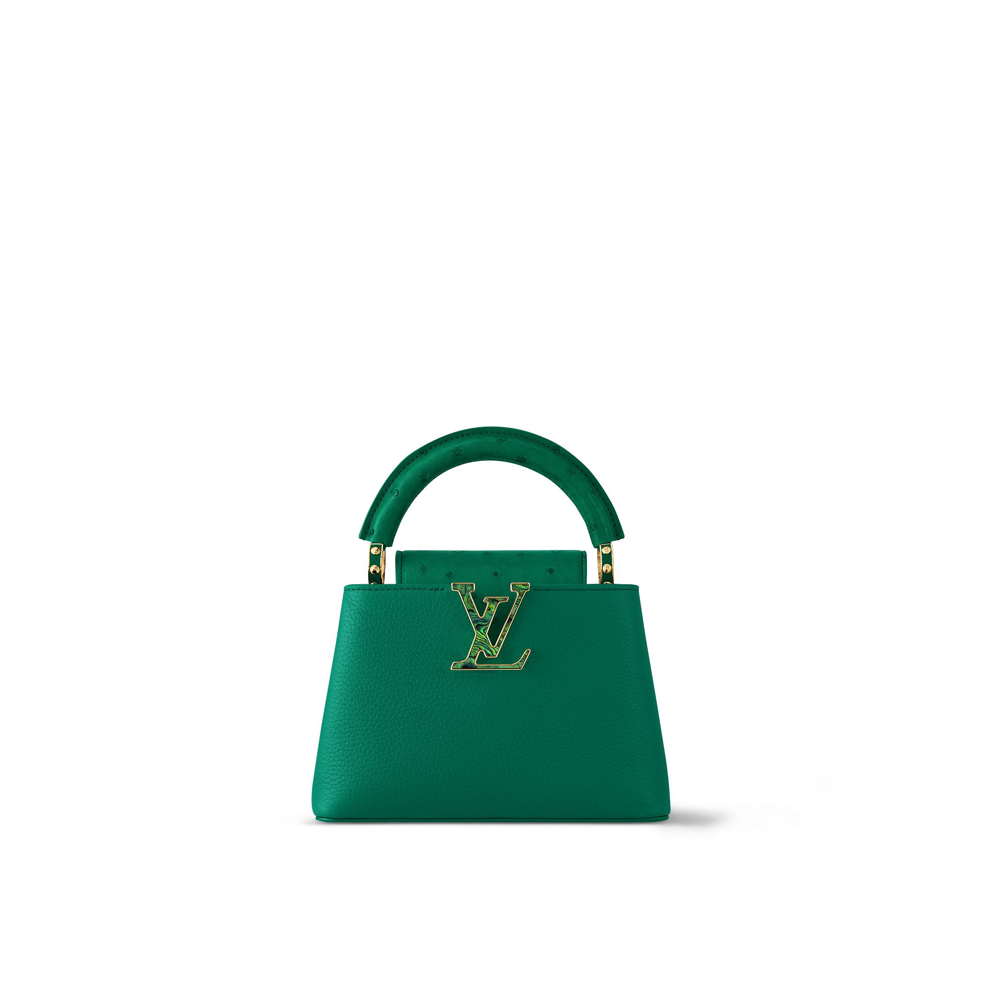 louis vuitton capucine bag