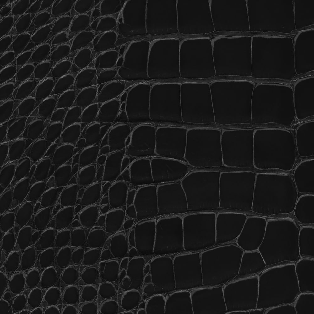 Capucines MM Crocodilien Matte in Les Extraordinaires