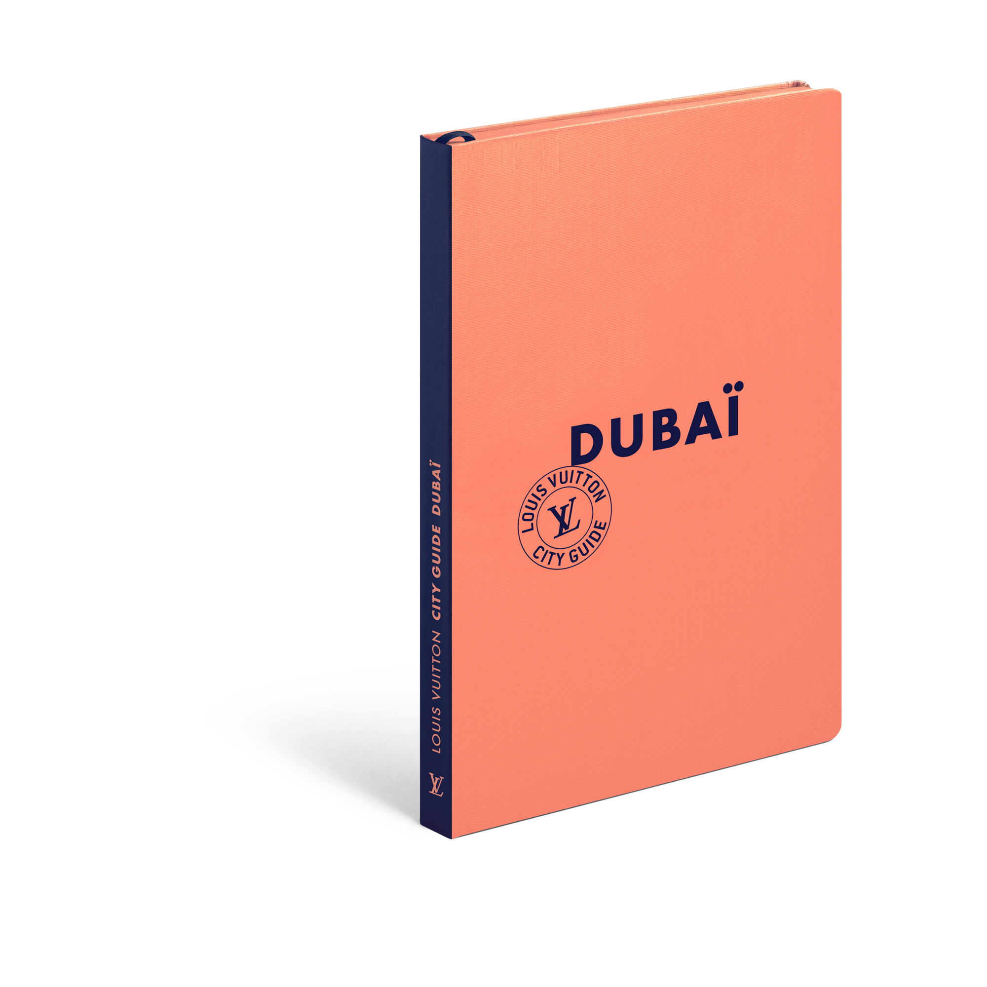 City Guide Dubai  in Trunks, Travel and Home