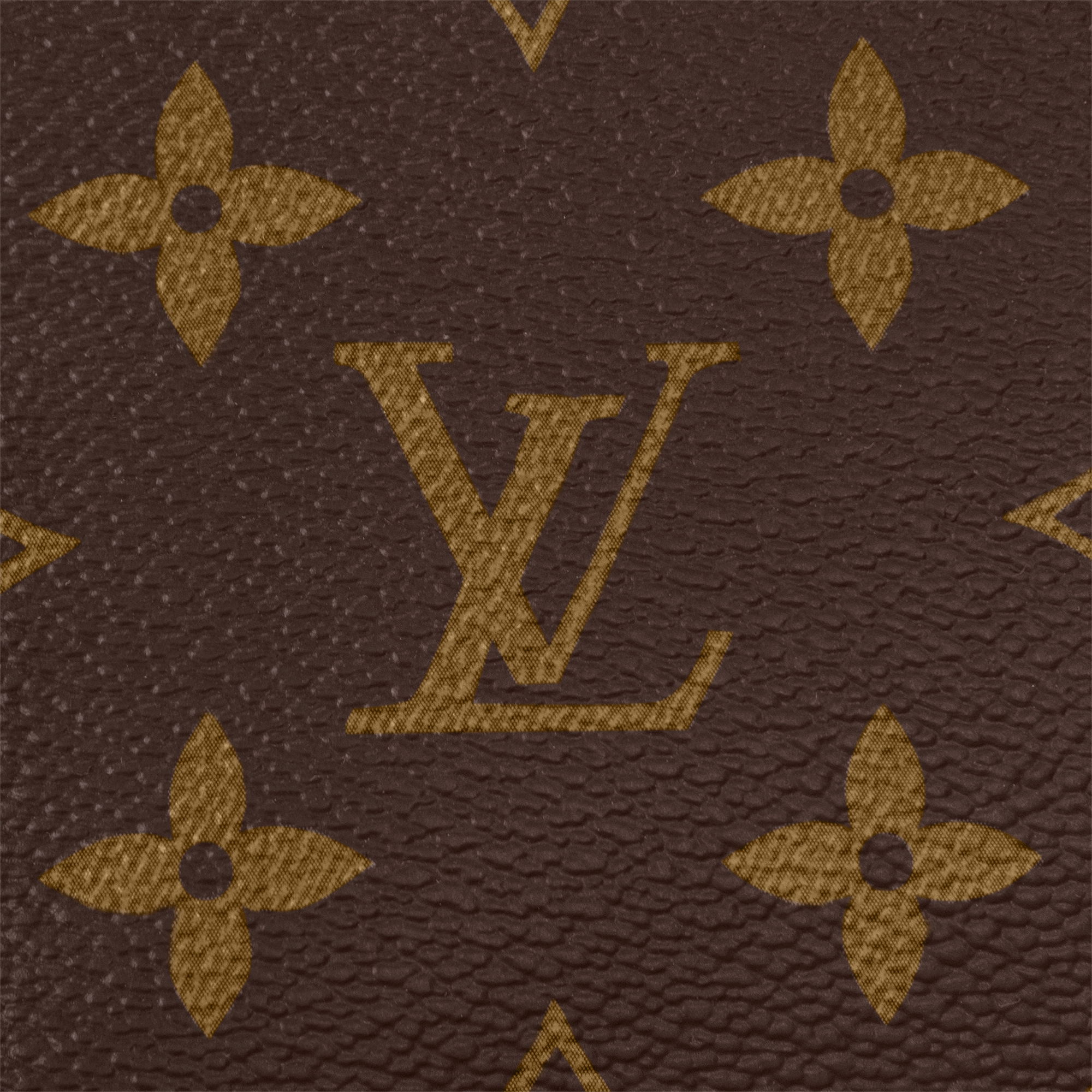 Cosmetic Pouch Monogram Canvas in Women