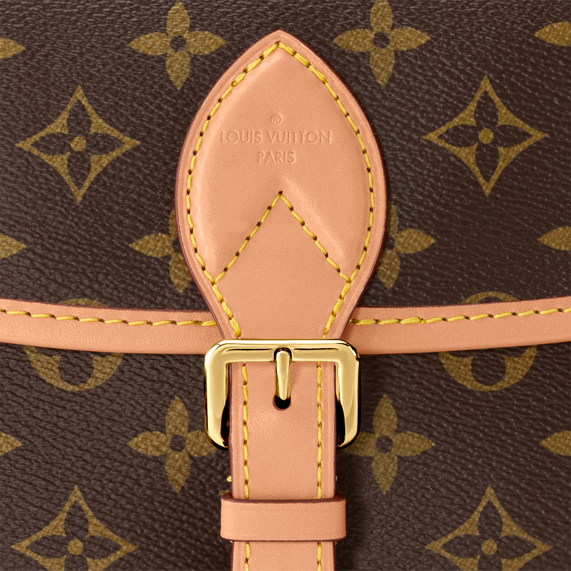 Diane Satchel Monogram Canvas in Women