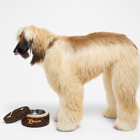 Dog Bowl in Trunks, Travel and Home's Pets Accessories } collections by Louis Vuitton (Product zoom)