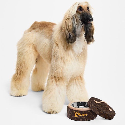 Dog Bowl in Trunks, Travel and Home's Pets Accessories } collections by Louis Vuitton (Product zoom)