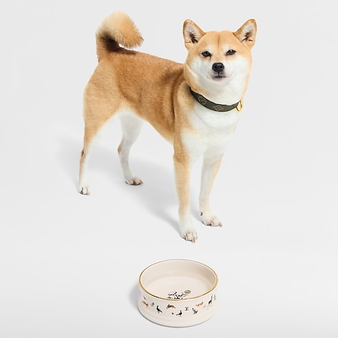 Dog Bowl S00 in Trunks, Travel and Home's Pets Accessories } collections by Louis Vuitton (Product zoom)