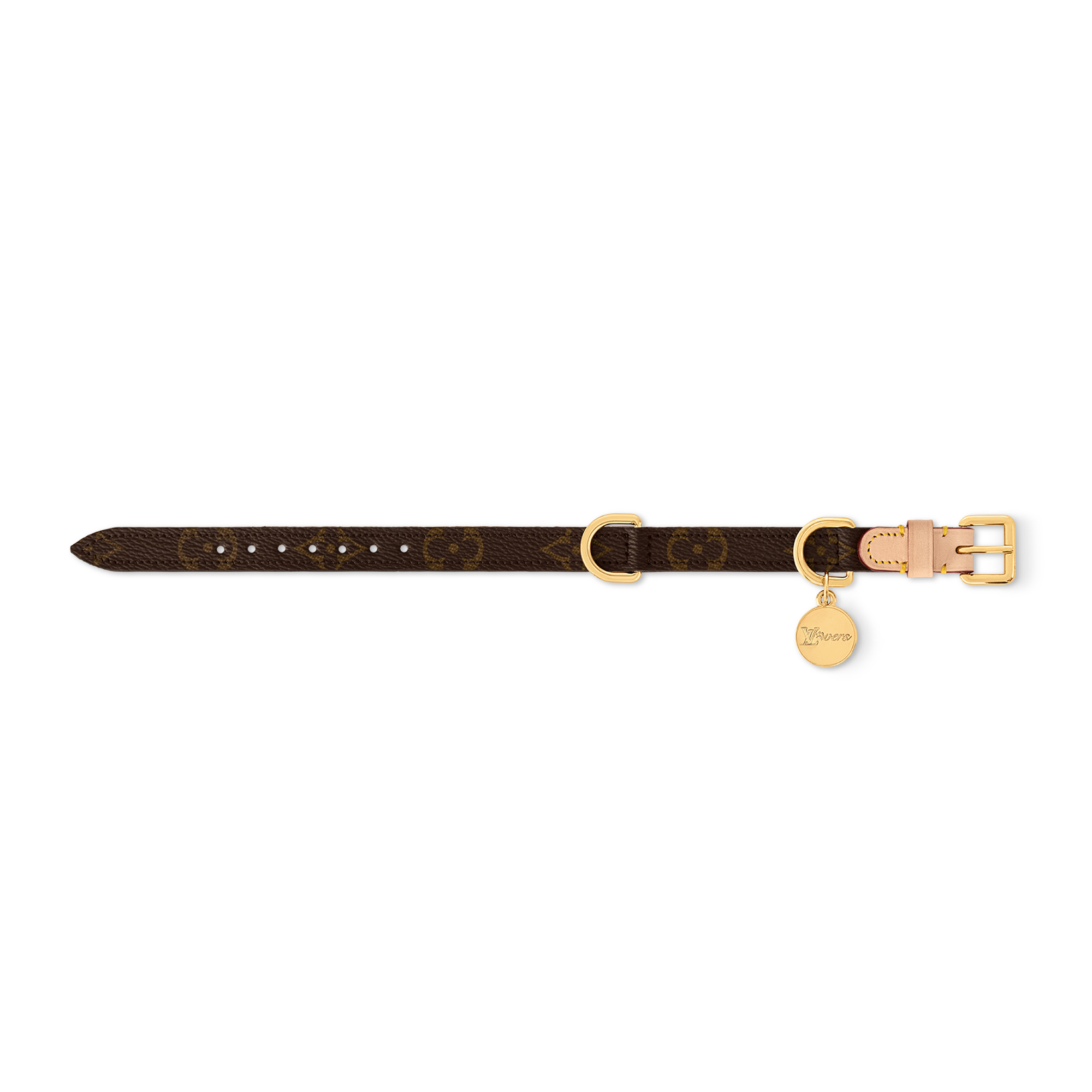 Dog Collar XS  in Trunks, Travel and Home