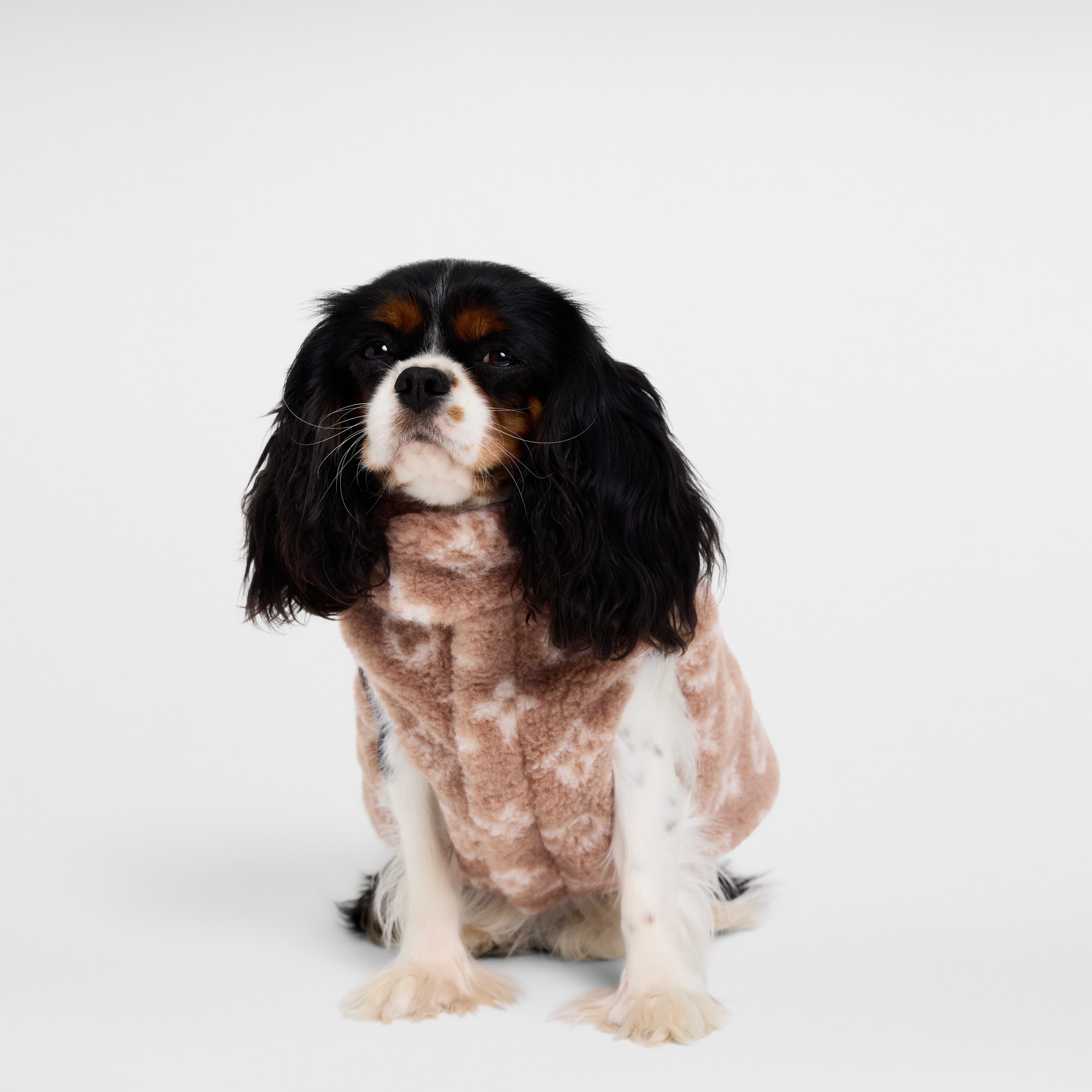 Dog Fleece Jacket PM S00 in Trunks, Travel and Home