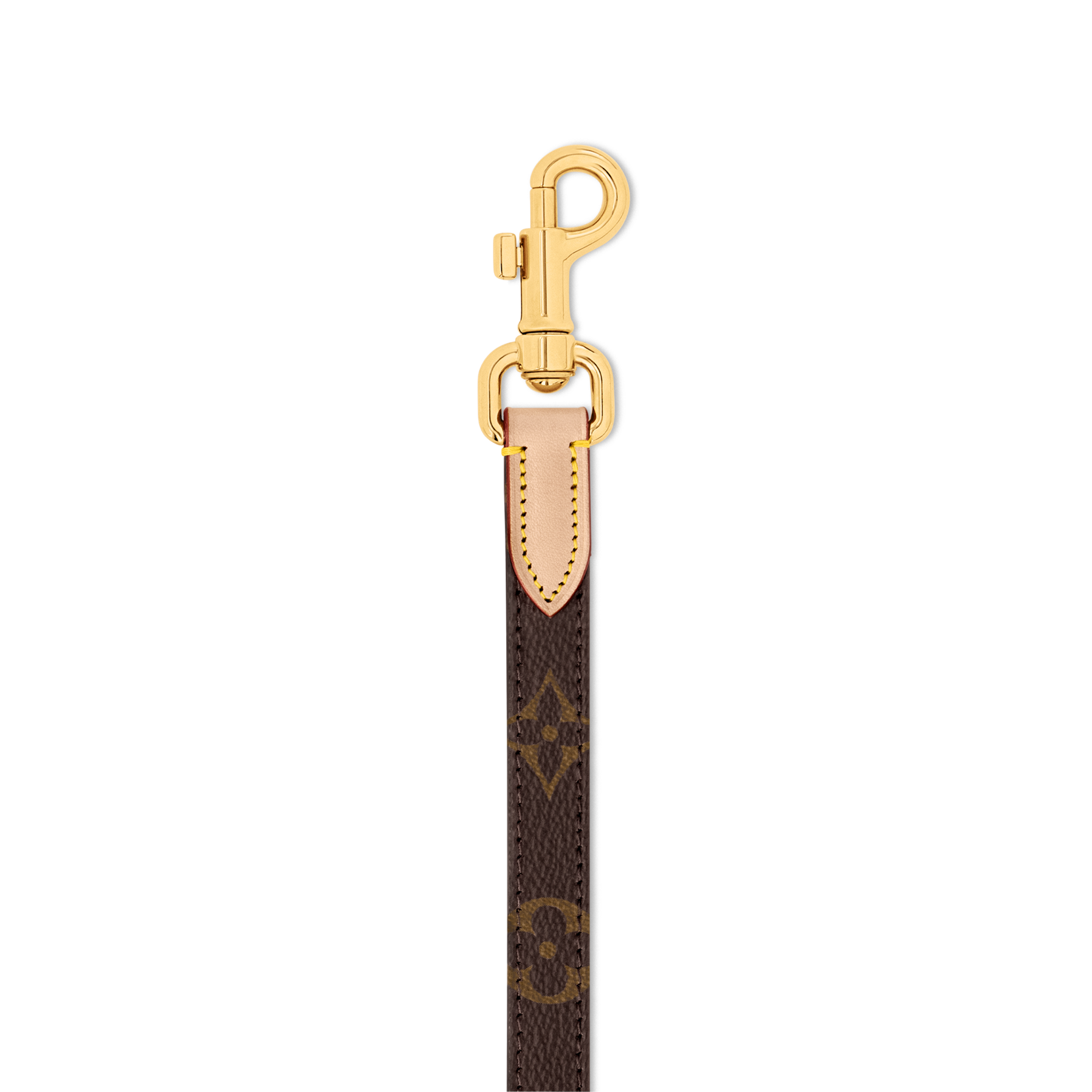 Dog Leash PM  in Trunks, Travel and Home