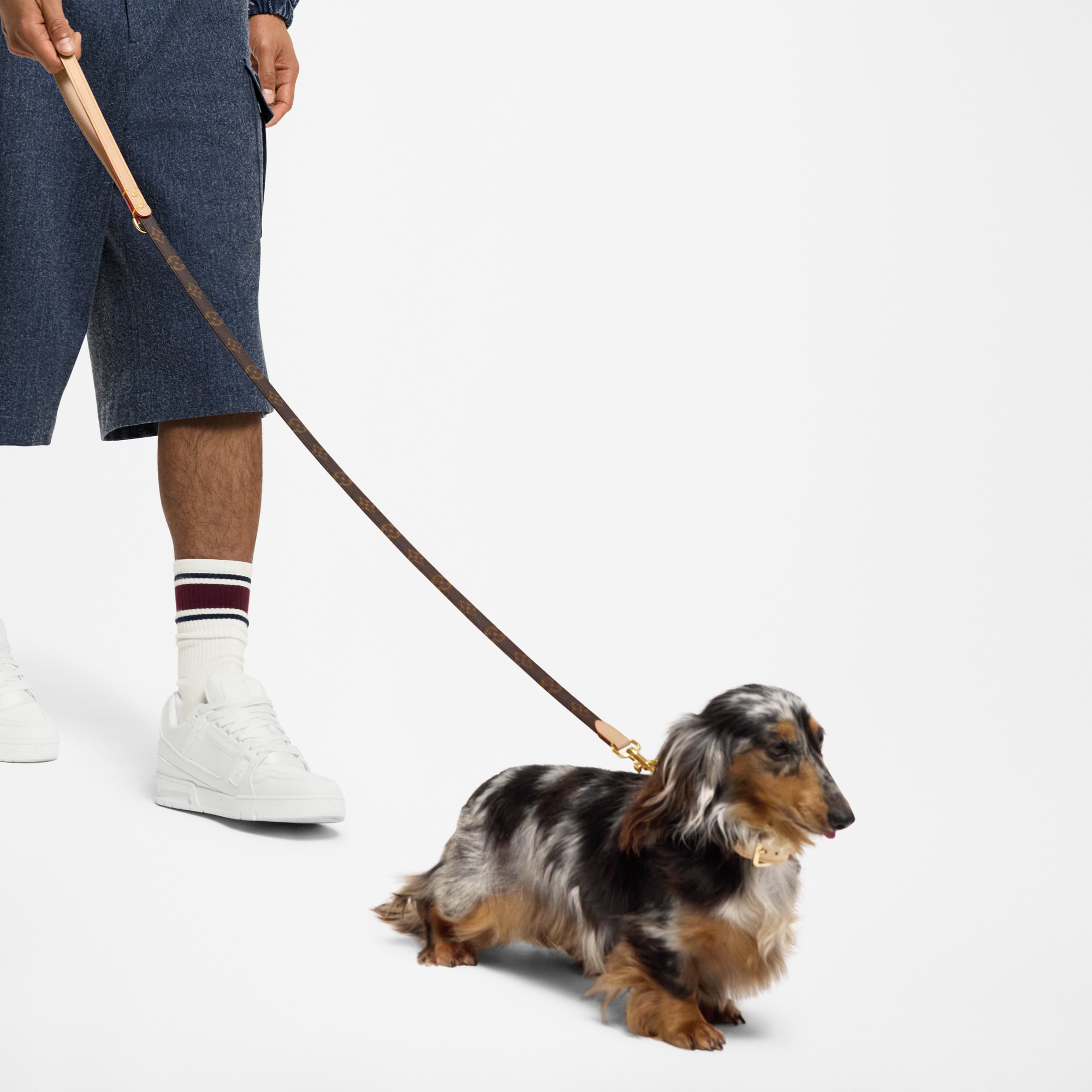 Dog Leash PM  in Trunks, Travel and Home