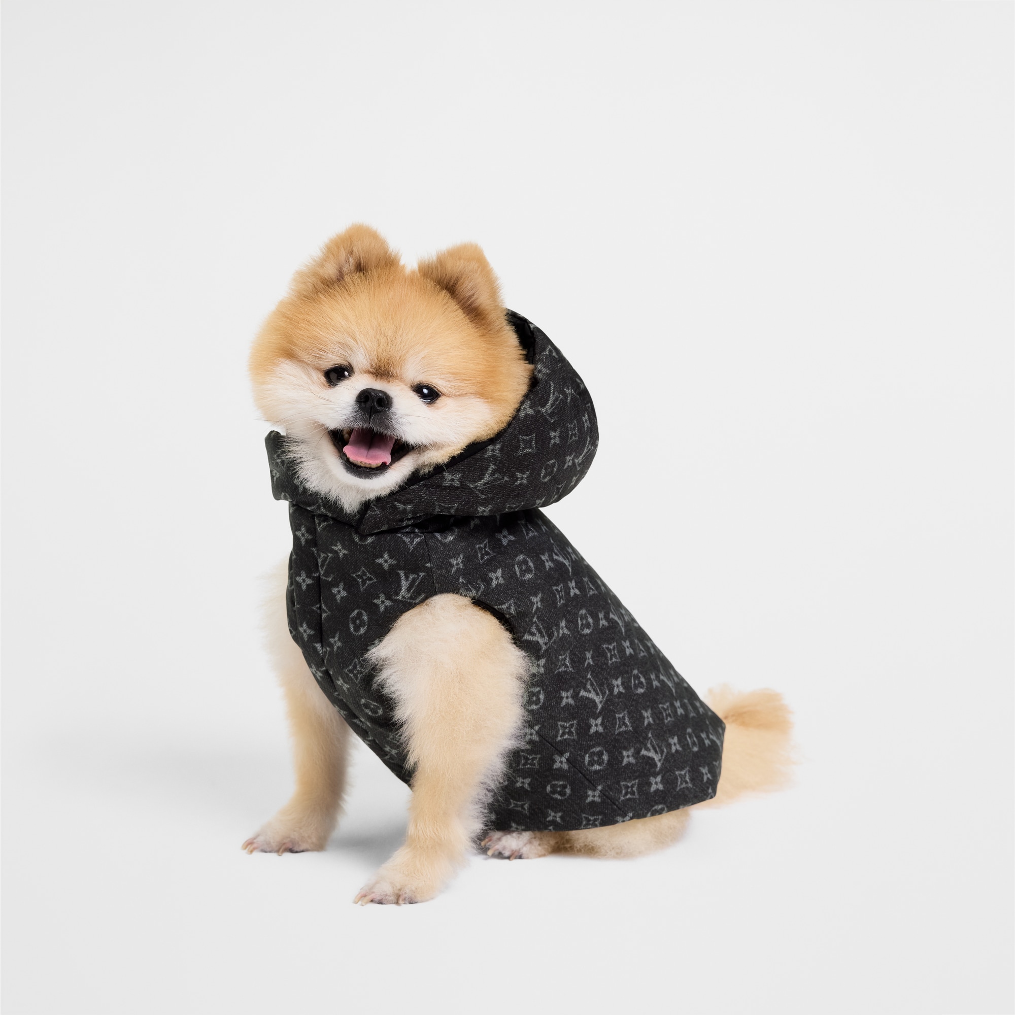 Dog Puffer Jacket XS S00 in Trunks, Travel and Home