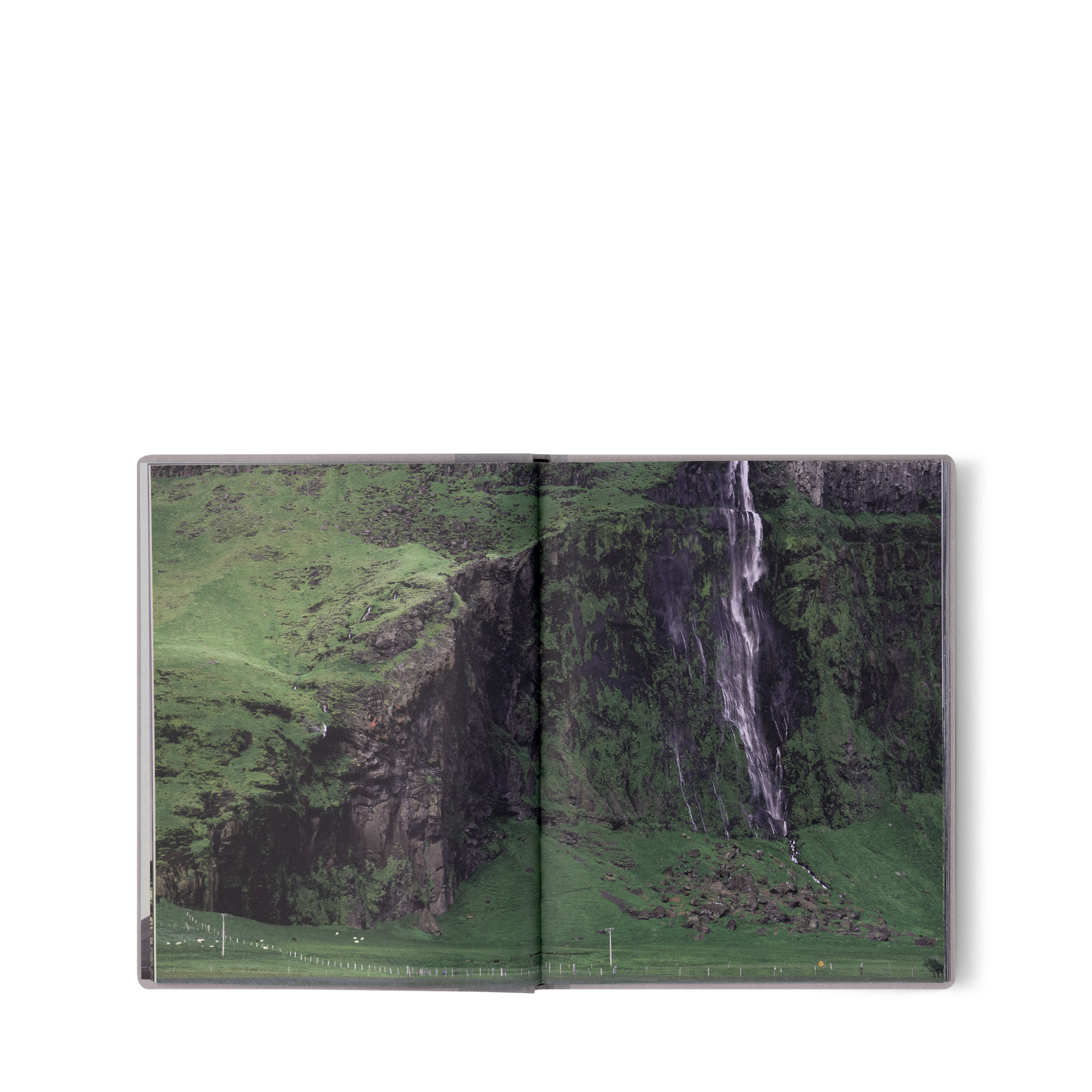 Fashion Eye Iceland  in Trunks, Travel and Home
