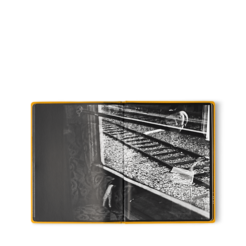 Fashion Eye Orient Express in Trunks, Travel and Home's Library Fashion Eye collections by Louis Vuitton (Product zoom)