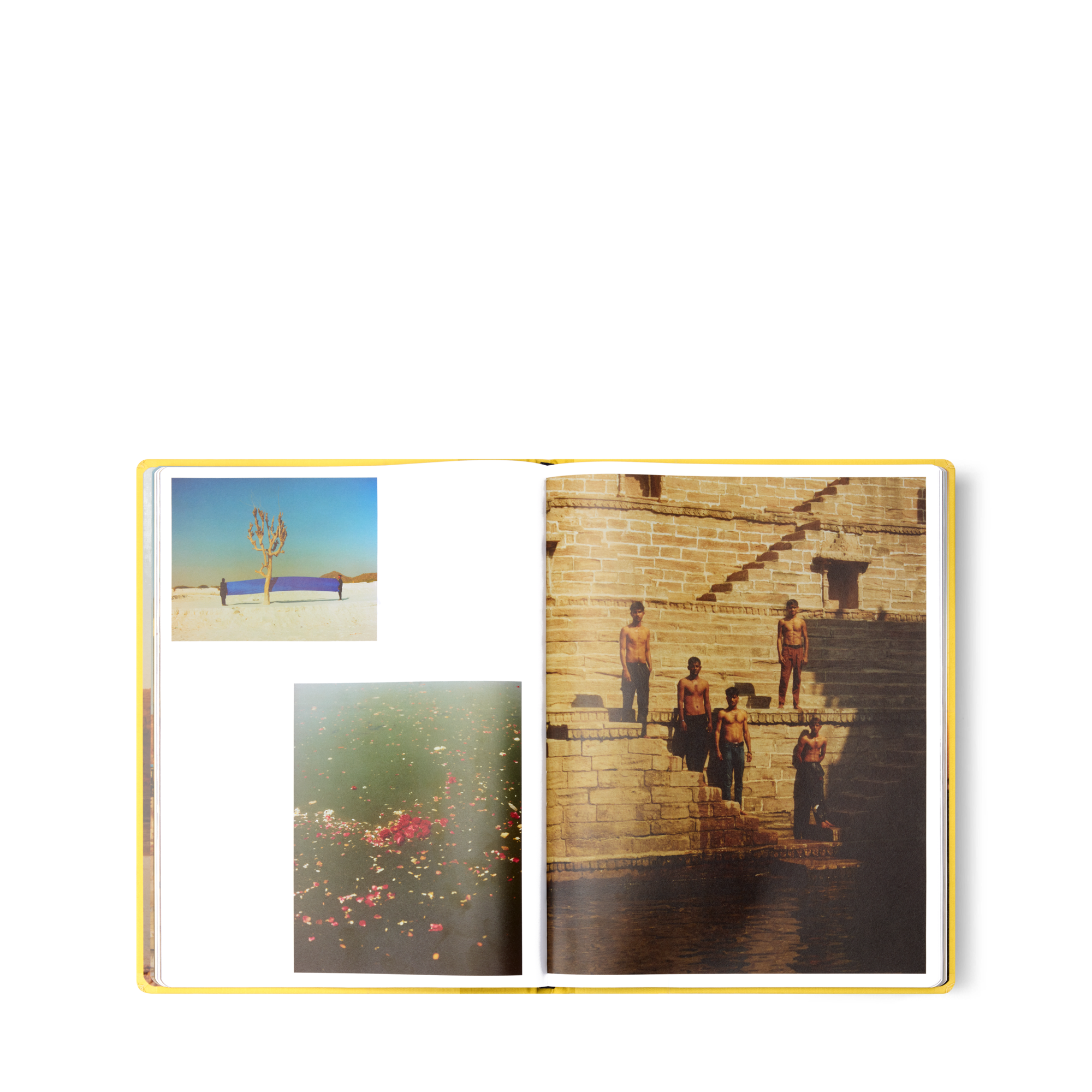 Fashion Eye Rajasthan  in Trunks, Travel and Home