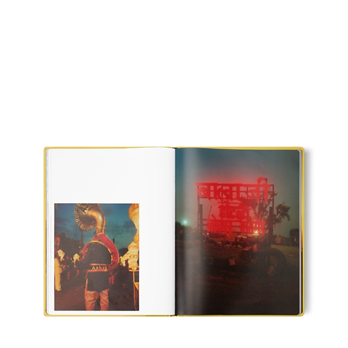 Fashion Eye Rajasthan in Trunks, Travel and Home's Library Fashion Eye collections by Louis Vuitton (Product zoom)