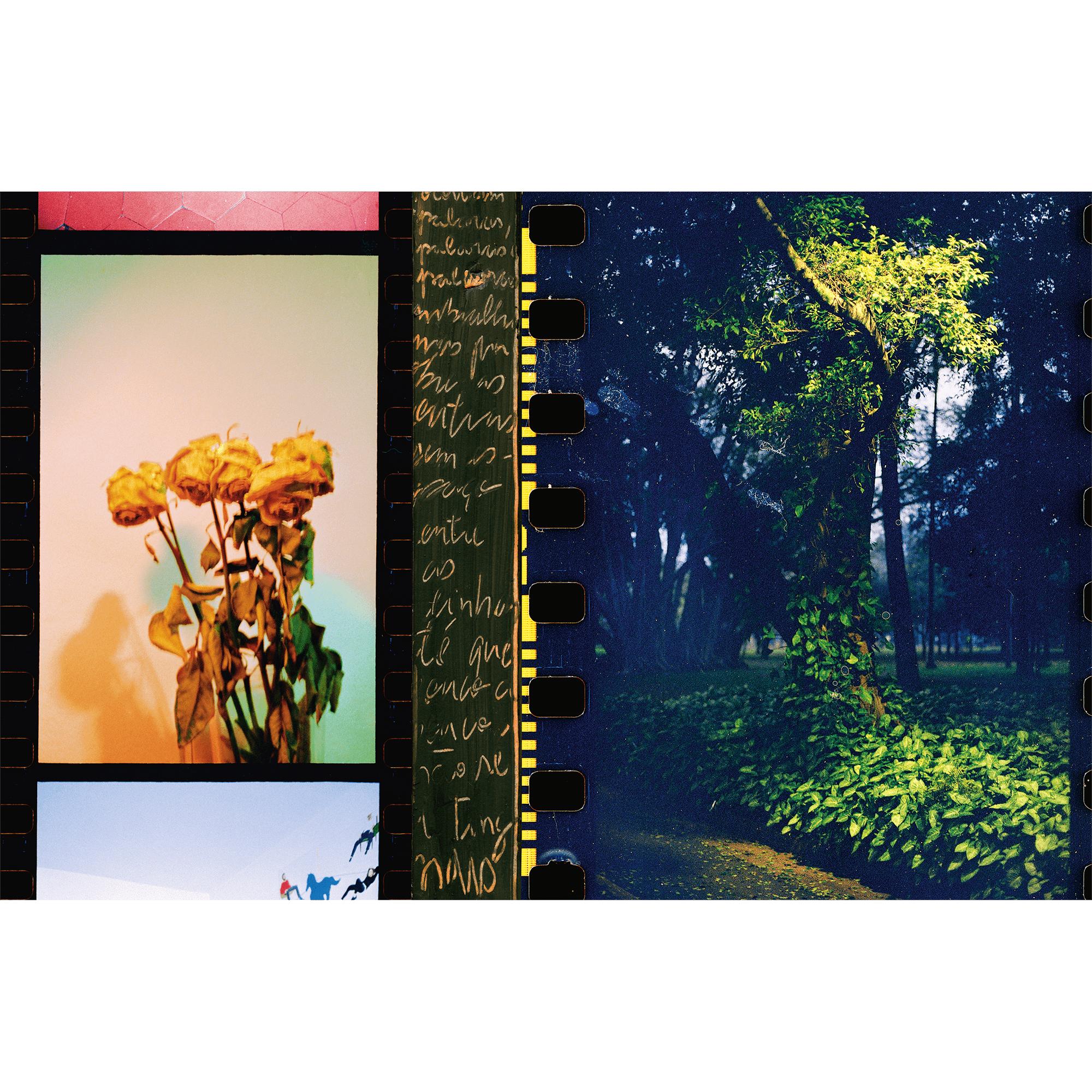 Fashion Eye São Paulo  in Trunks, Travel and Home