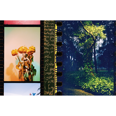 Fashion Eye São Paulo in Trunks, Travel and Home's Library Fashion Eye collections by Louis Vuitton (Product zoom)