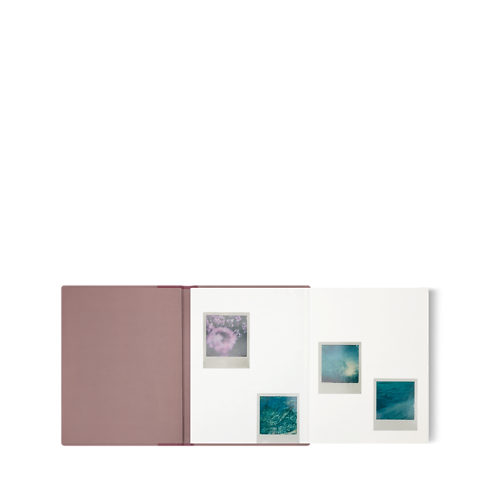 Fashion Eye Sweden in Trunks, Travel and Home's Library Fashion Eye collections by Louis Vuitton (Product zoom)