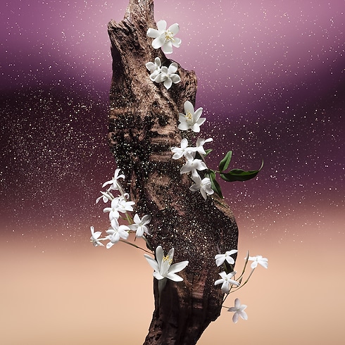 Fleur Du Désert in Perfumes and Beauty 's Collections Men’s Perfumes collections by Louis Vuitton (Product zoom)