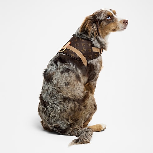 Harness MM in Trunks, Travel and Home's Pets Accessories } collections by Louis Vuitton (Product zoom)