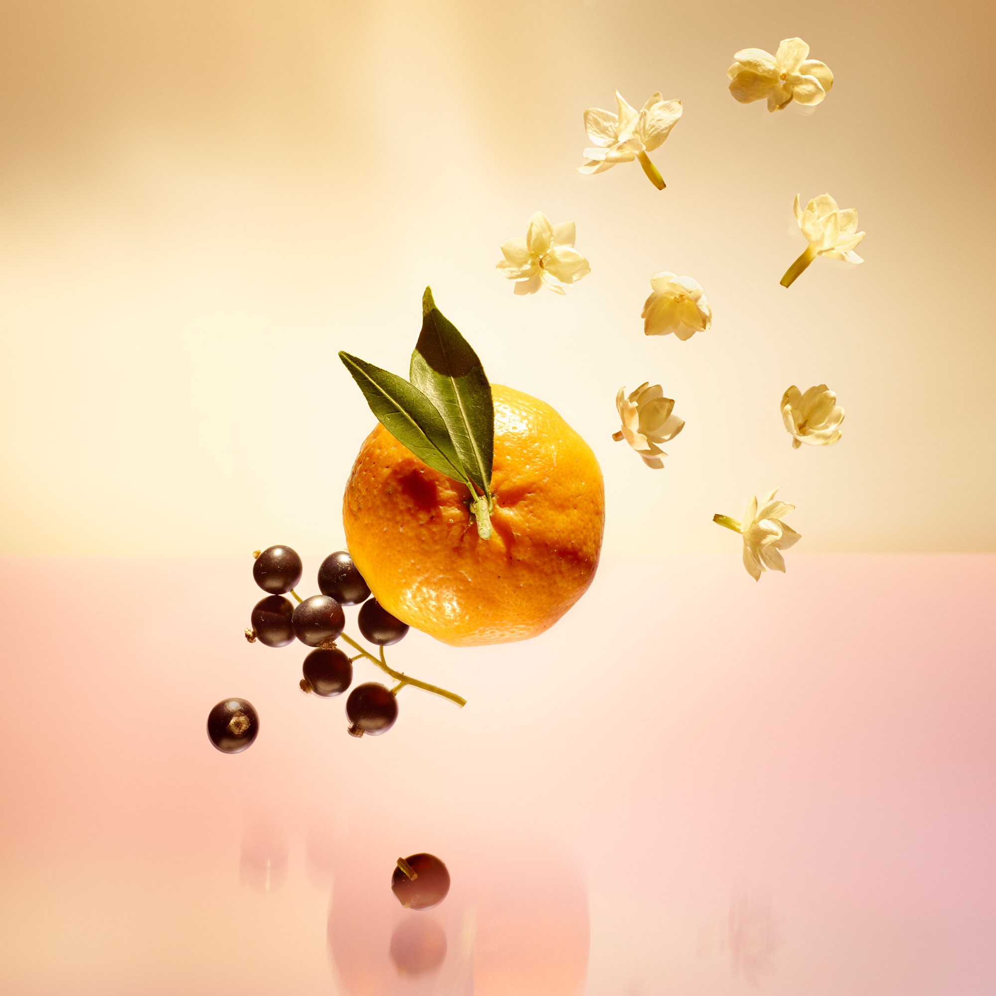 Le Jour Se Lève - Perfume Gifts | LOUIS VUITTON