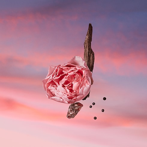 Les Sables Roses in Perfumes and Beauty 's Collections Men’s Perfumes collections by Louis Vuitton (Product zoom)