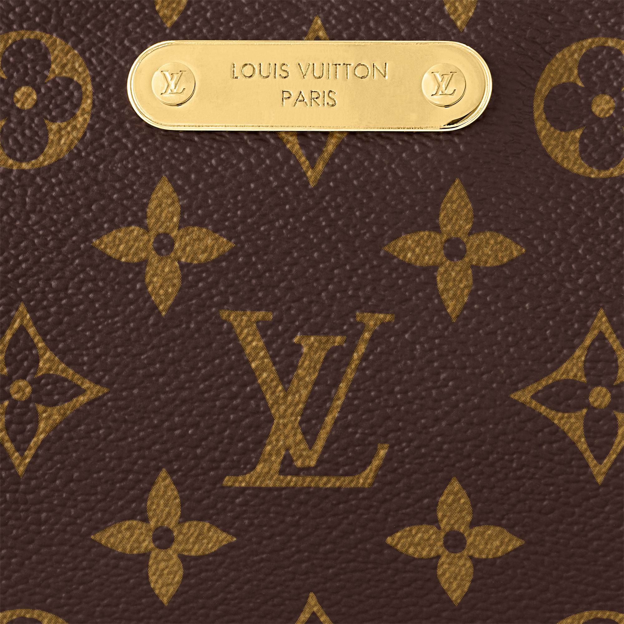 Liv Pochette Monogram Canvas in Women