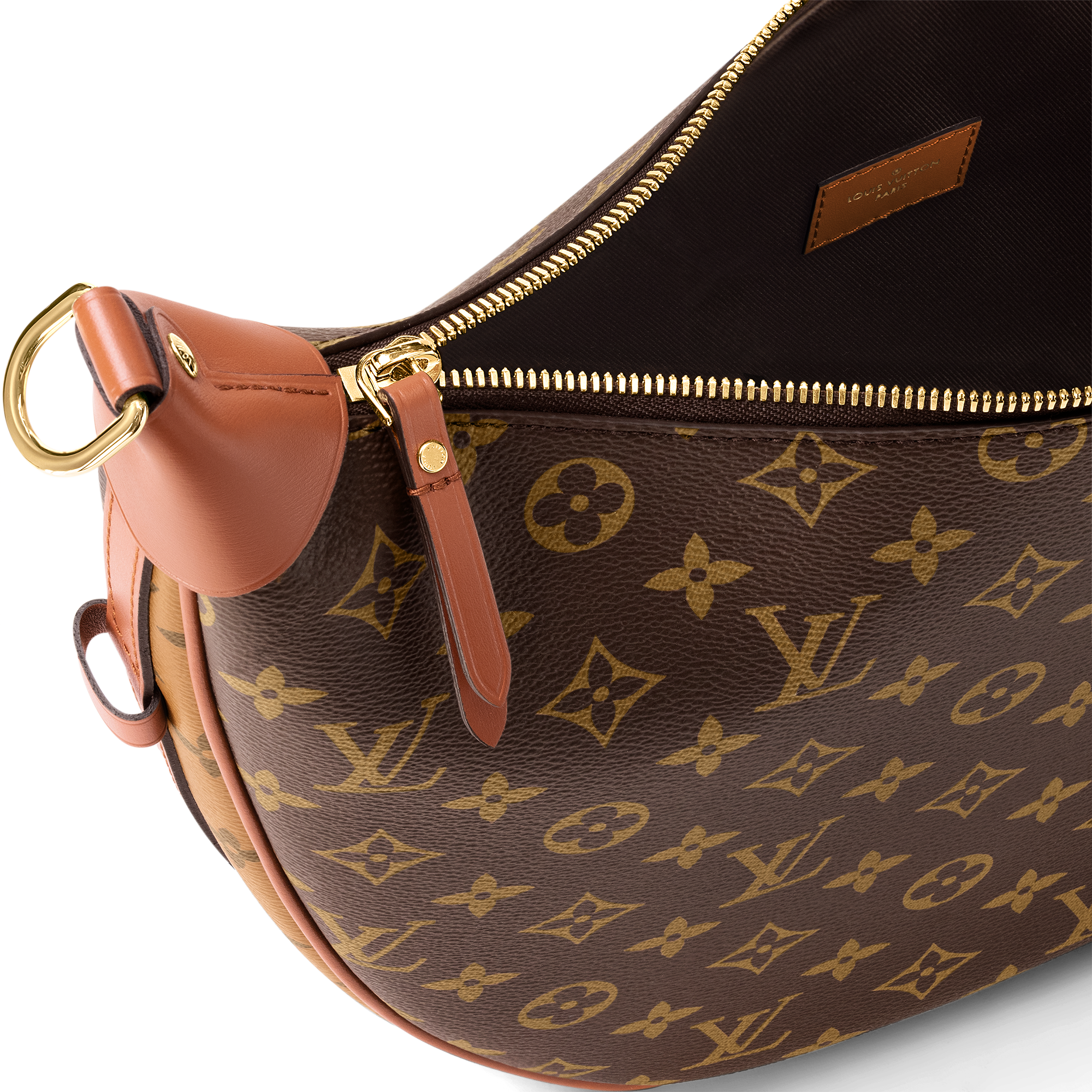Loop Hobo Bag Monogram Canvas in Women