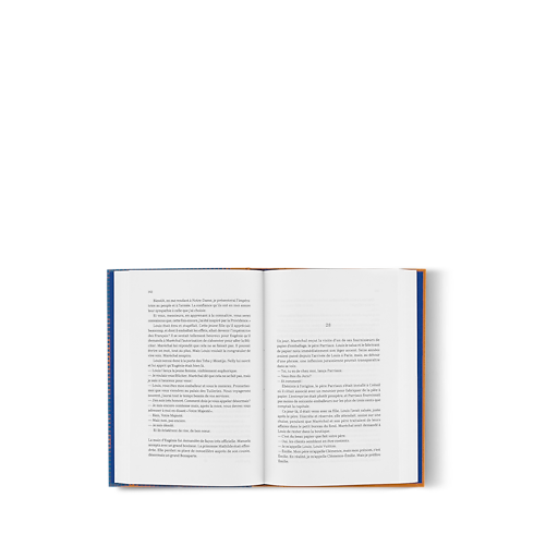 Louis Vuitton, L'Audacieux in Trunks, Travel and Home's Library Hard Cover Books collections by Louis Vuitton (Product zoom)