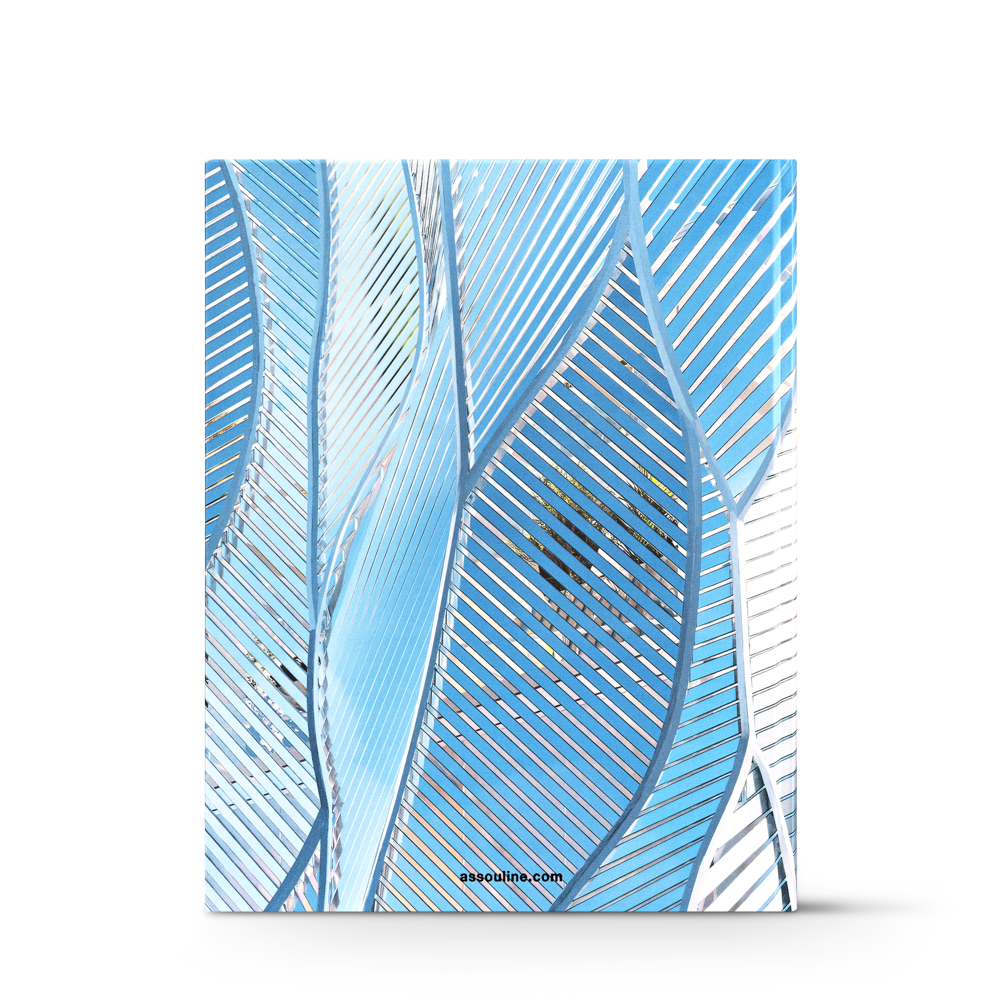 Louis Vuitton Skin: Architecture of Luxury Beijing  in Trunks, Travel and Home