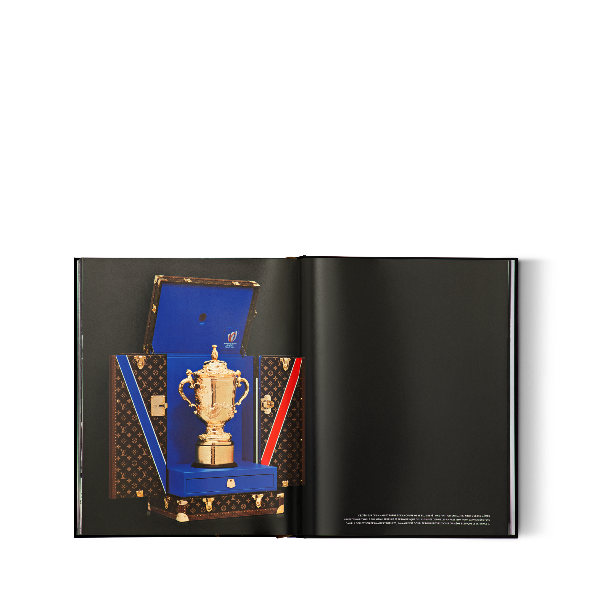 Louis Vuitton Trophies  in Trunks, Travel and Home