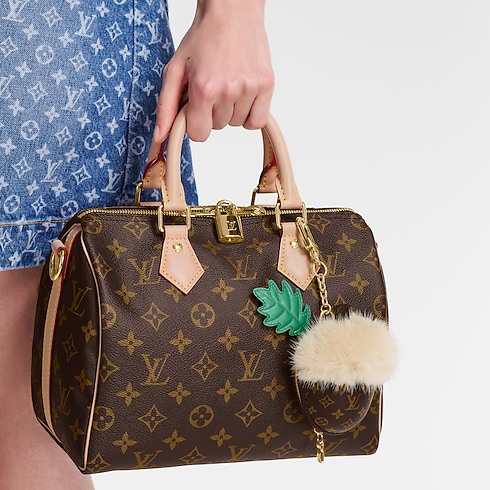 LV Acorn Pouch S00 in Women's Accessories Key Holders and Bag Charms collections by Louis Vuitton (Product zoom)