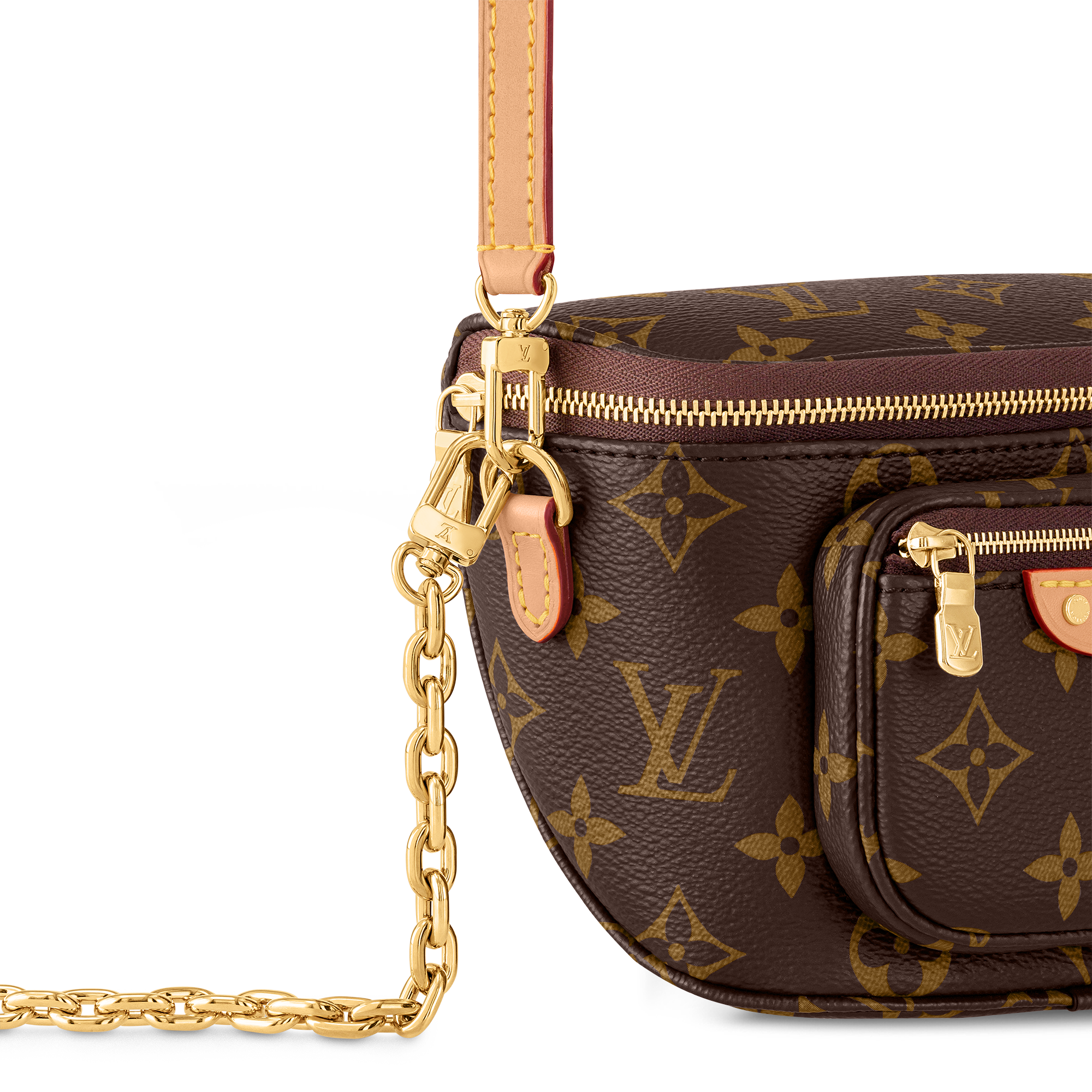 Mini Bumbag Monogram Canvas in Women