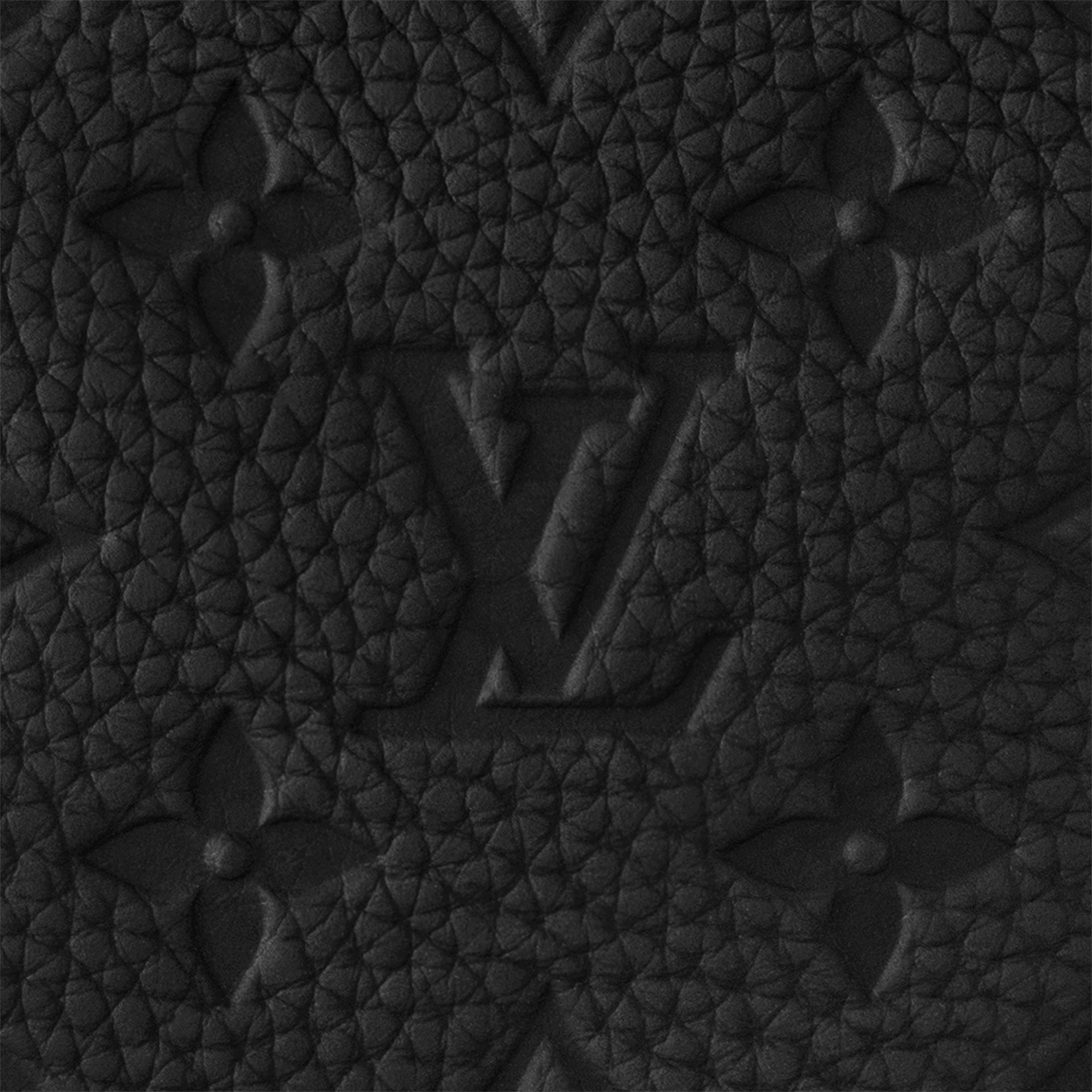 Montsouris Backpack Monogram Taurillon Leather in Men