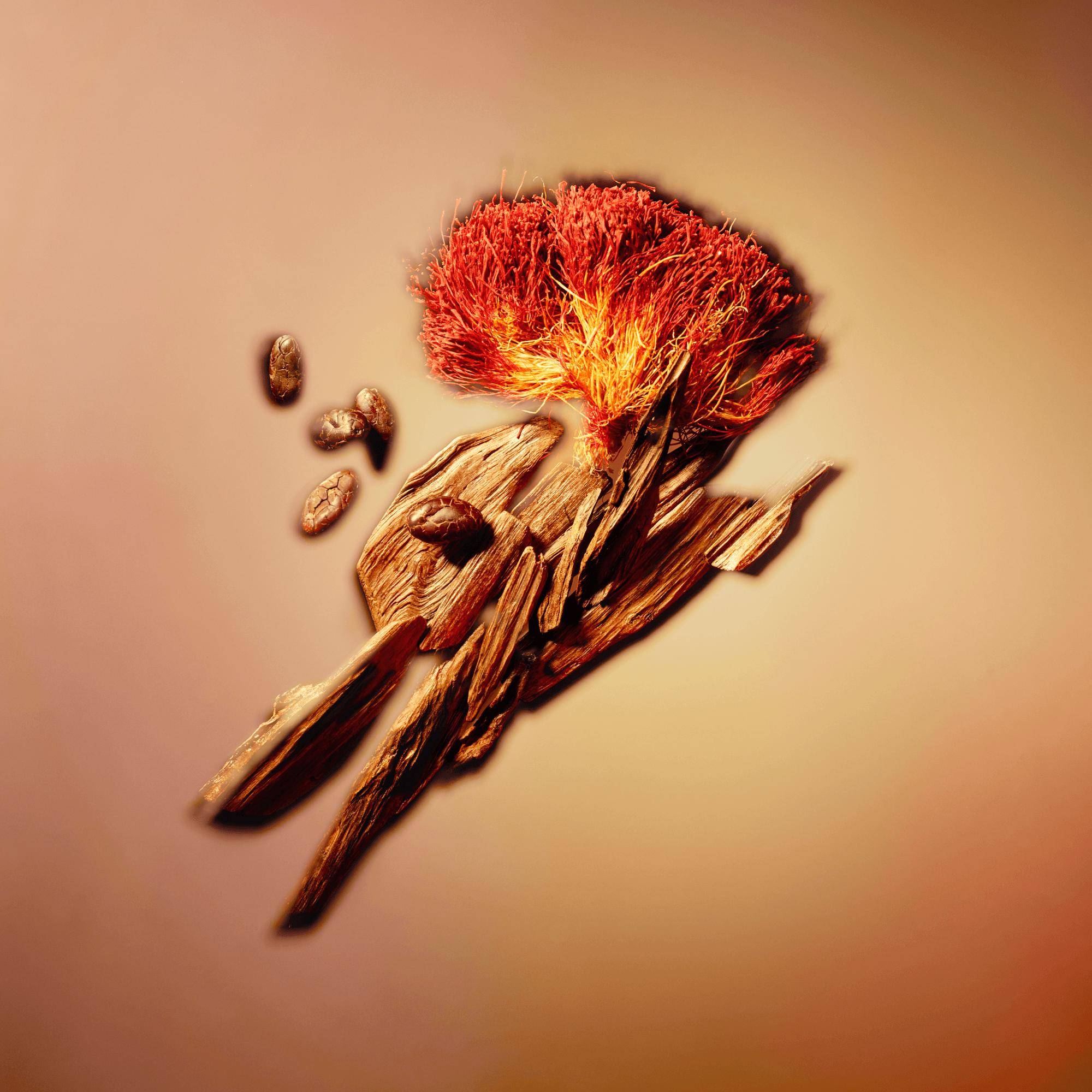 Nouveau Monde  in Perfumes and Beauty 