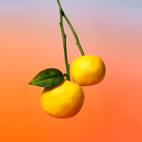 On The Beach in Perfumes and Beauty 's Collections Men’s Perfumes collections by Louis Vuitton (Product zoom)