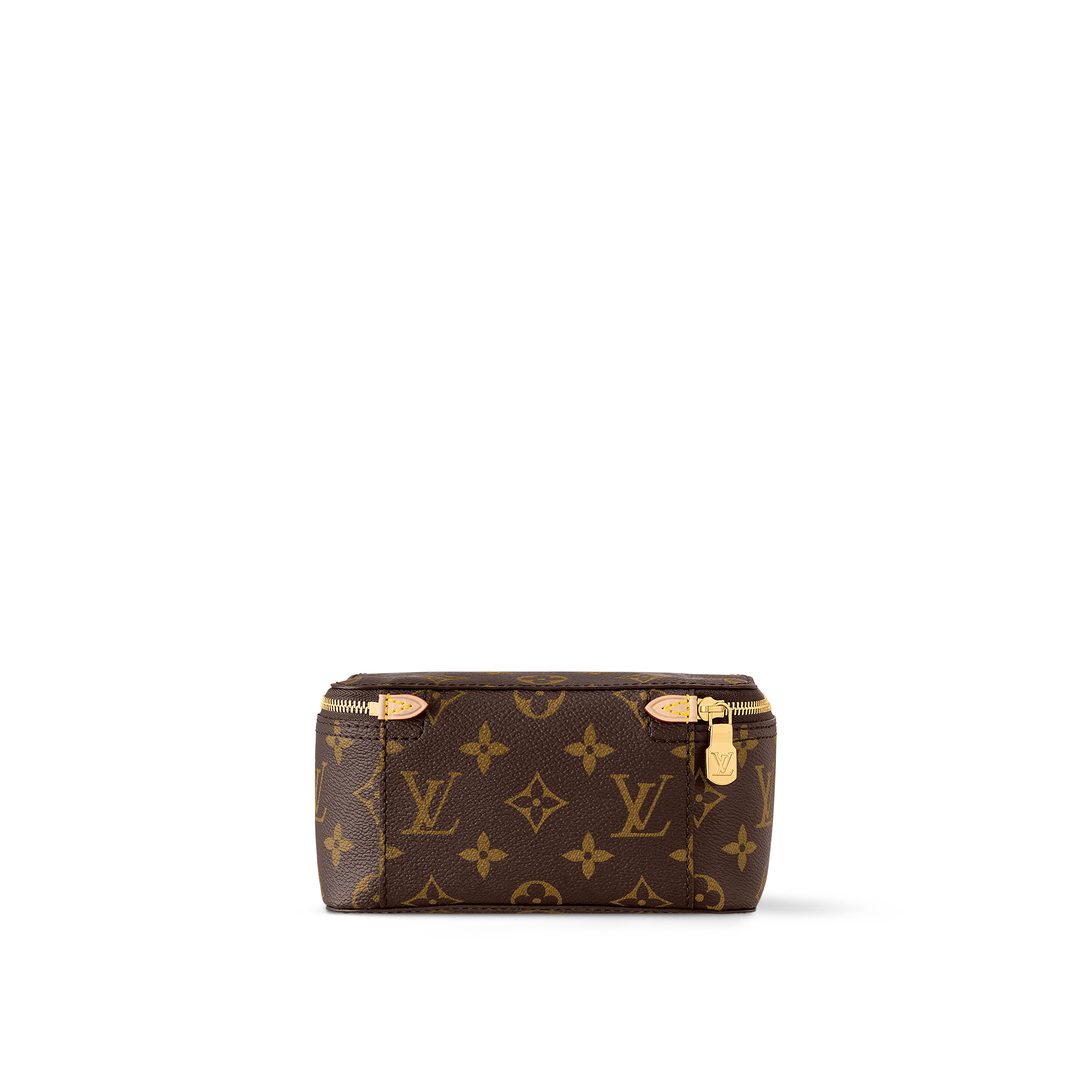 Packing Cube PM Monogram Canvas in Men