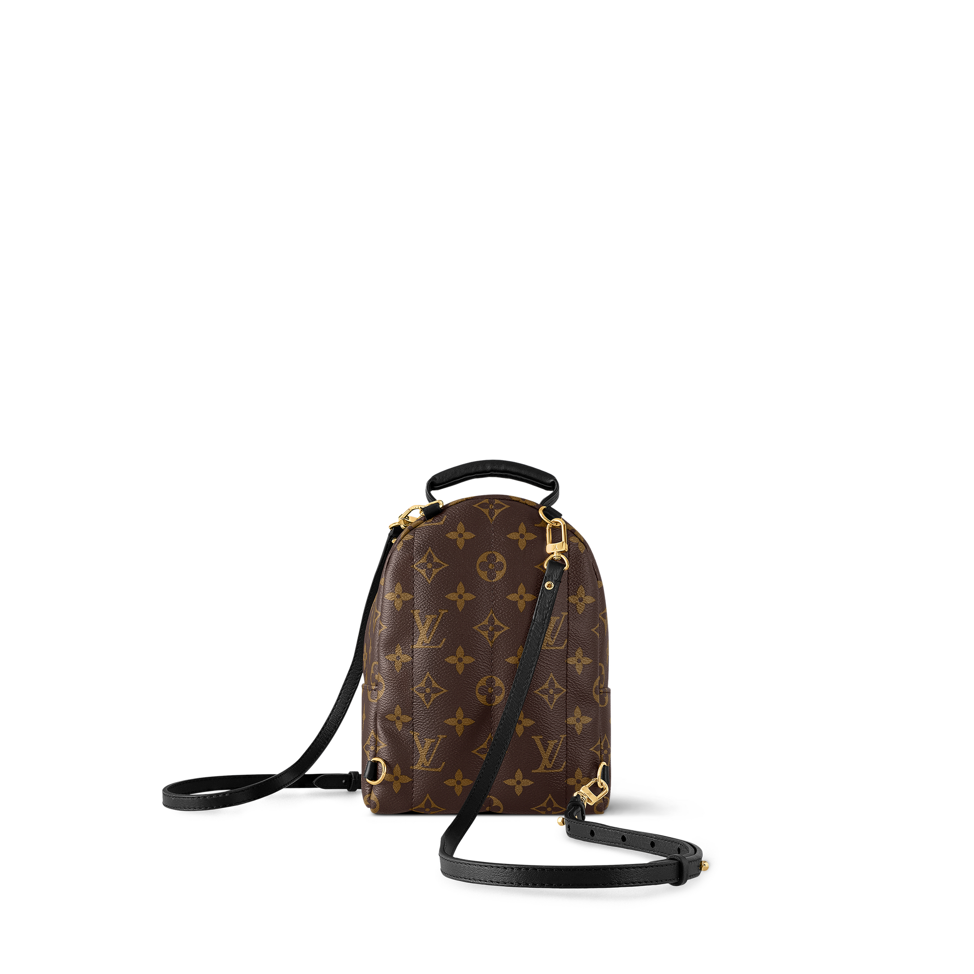 Palm Springs Mini Monogram Canvas in Women
