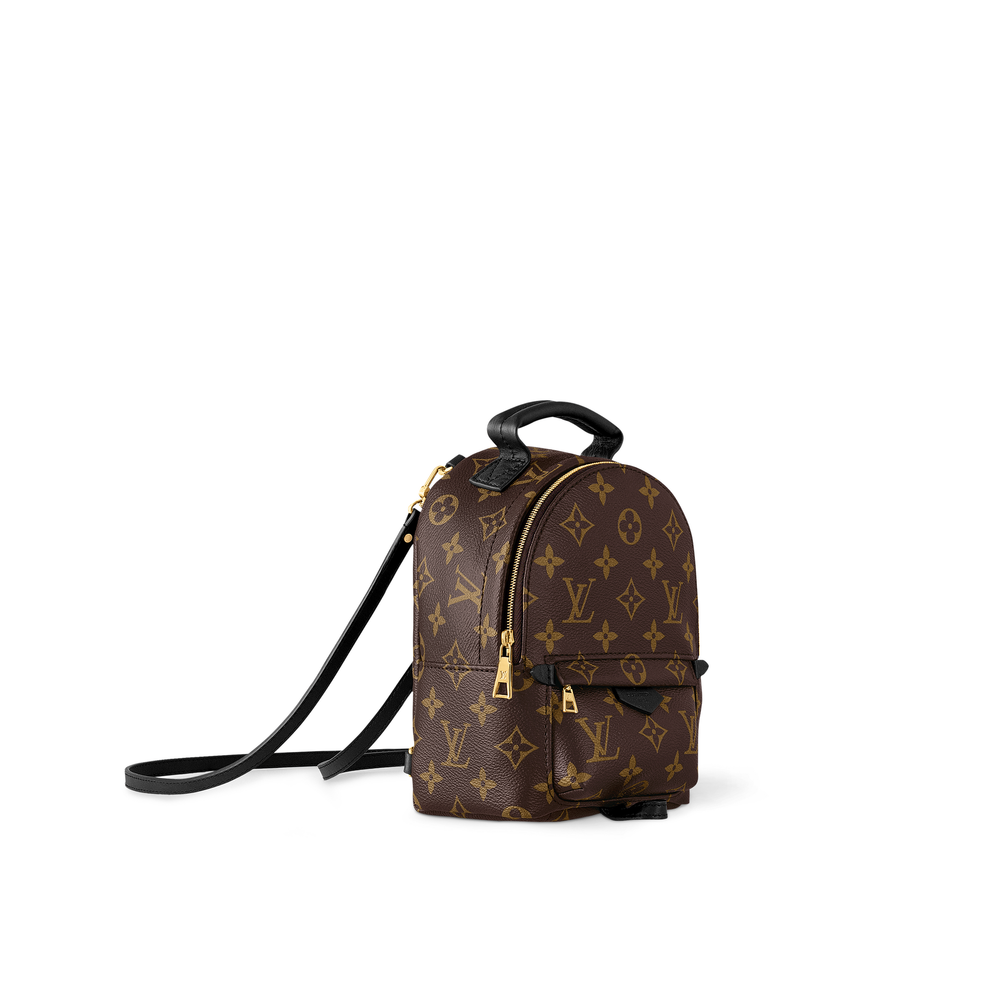 Palm Springs Mini Monogram Canvas in Women