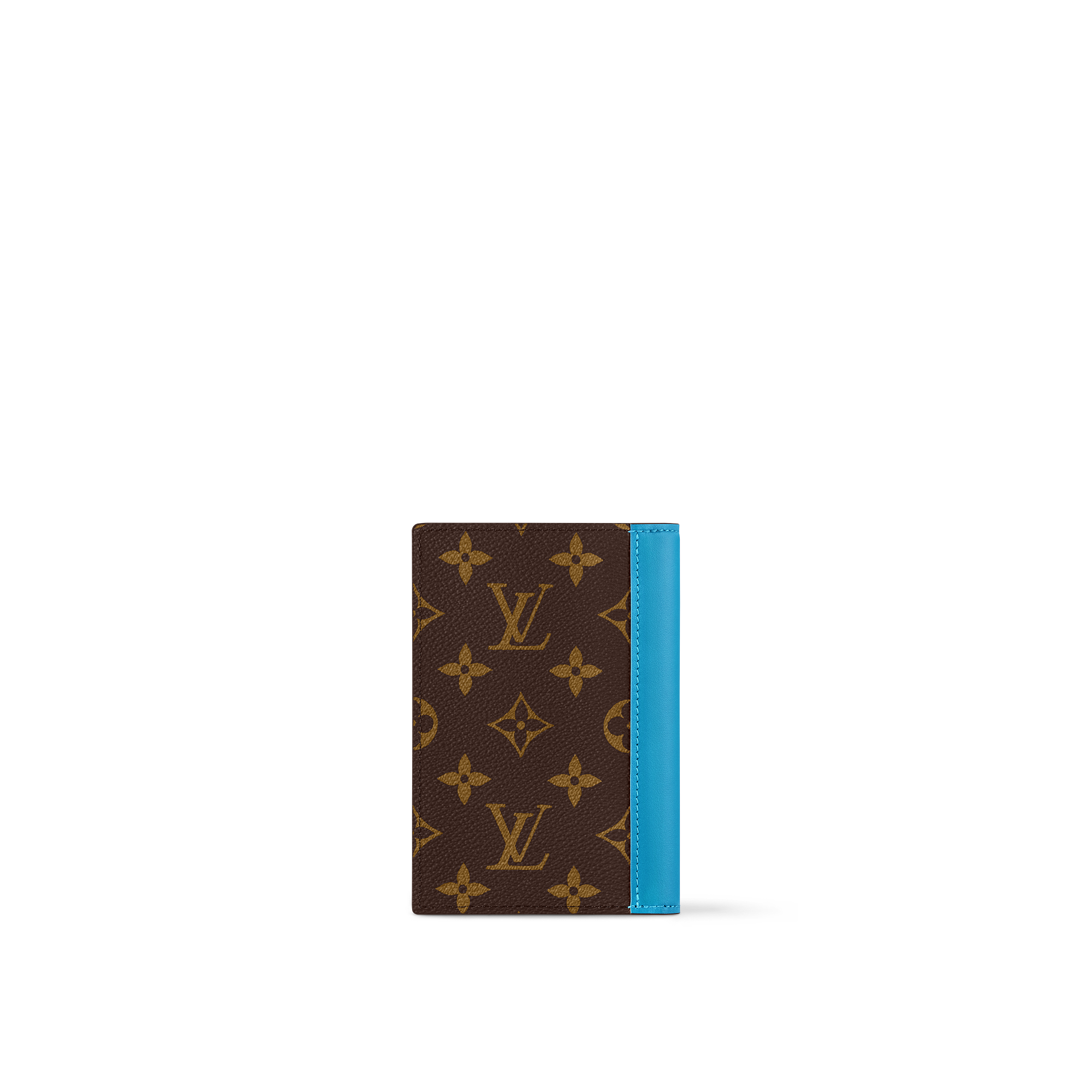 Passport Cover G73 in Men